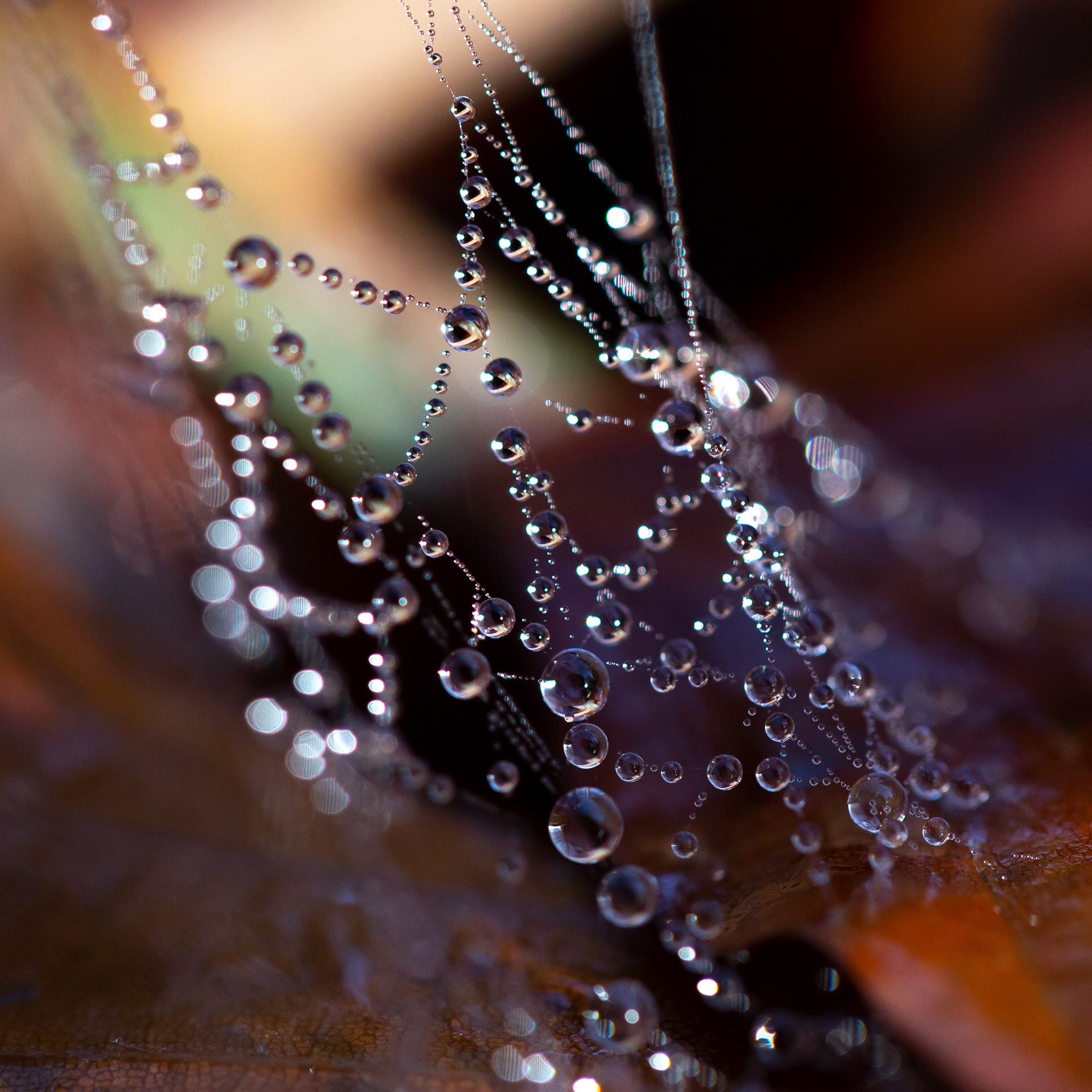 © Marius Hamann Photography