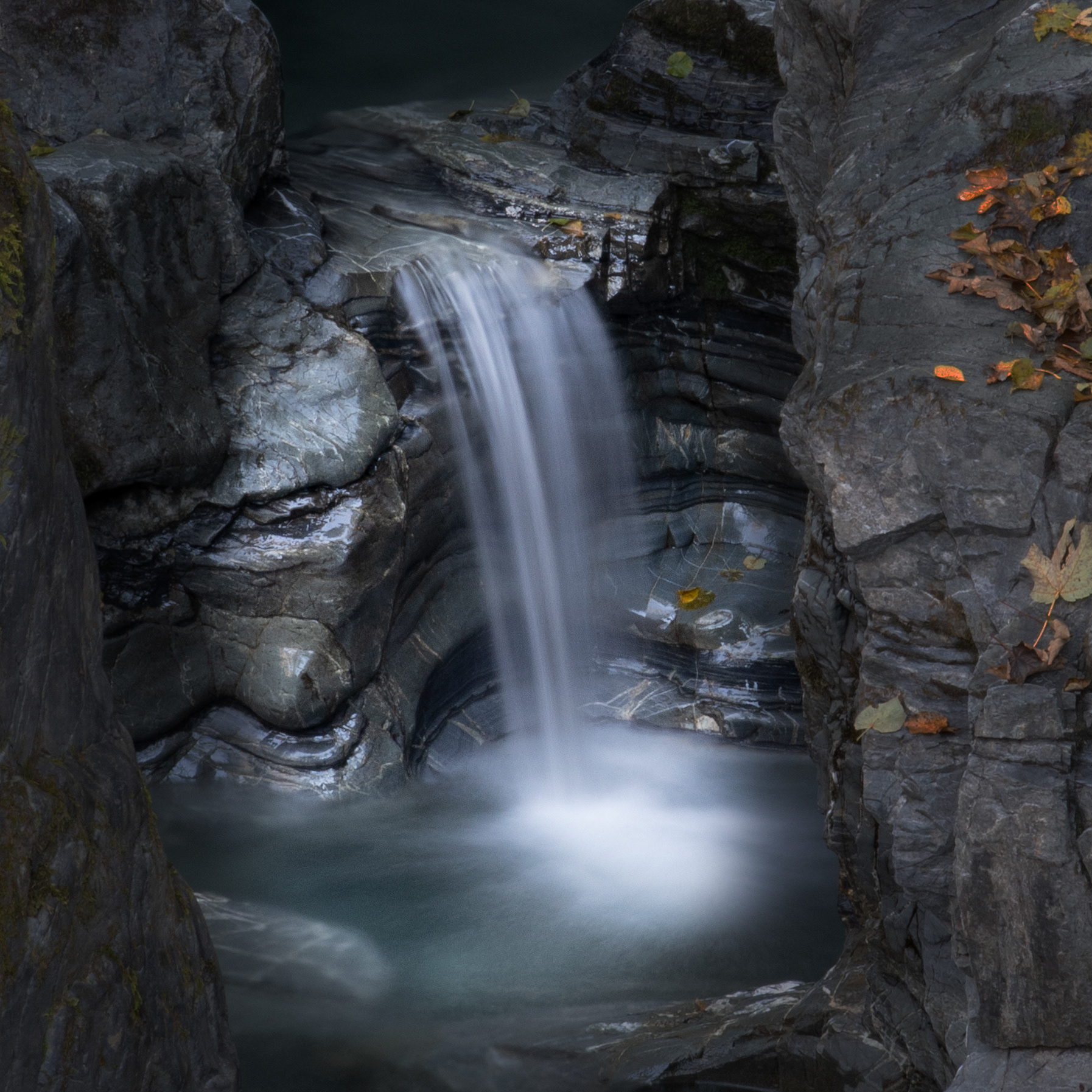 © Marius Hamann Photography