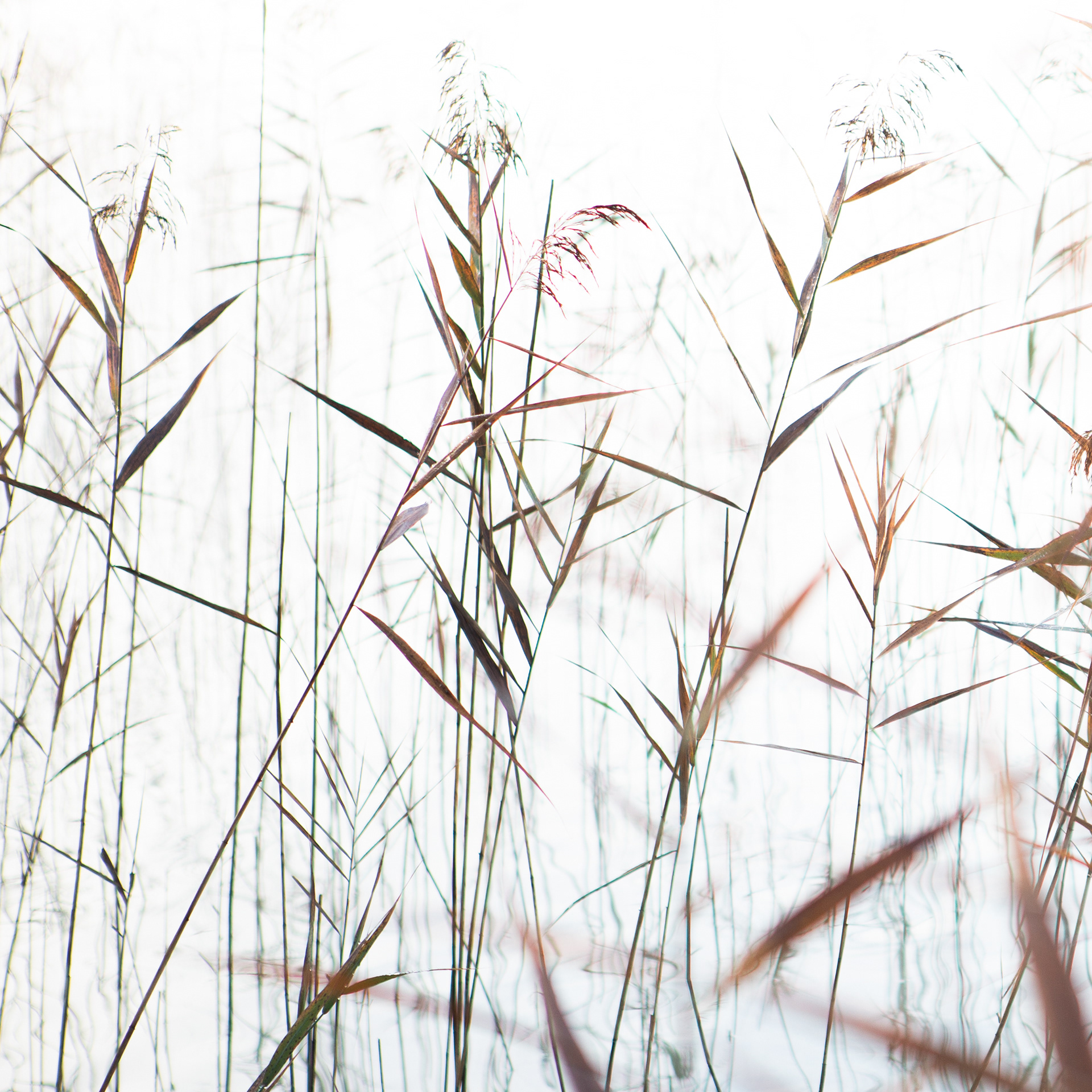 © Marius Hamann Photography