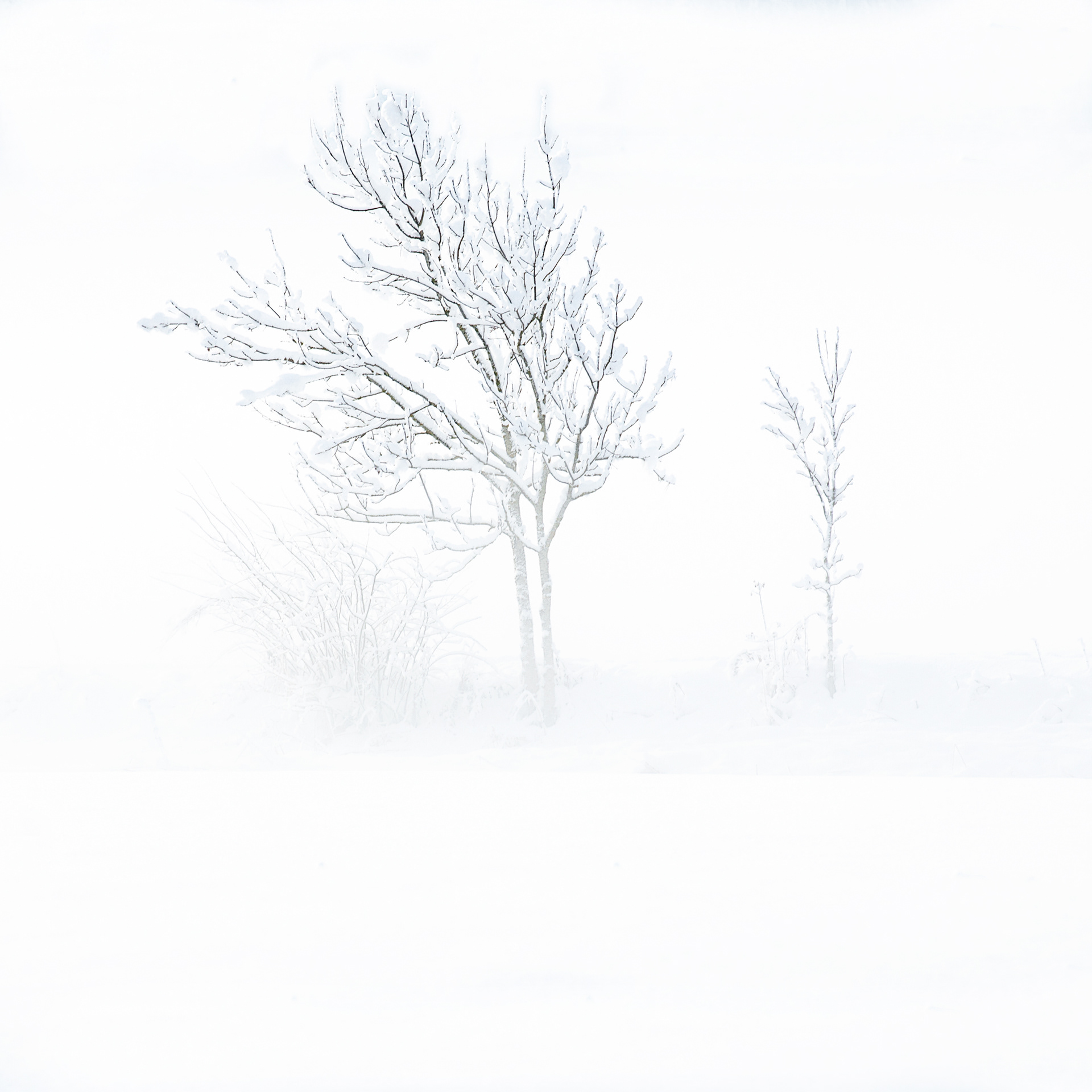 © Marius Hamann Photography