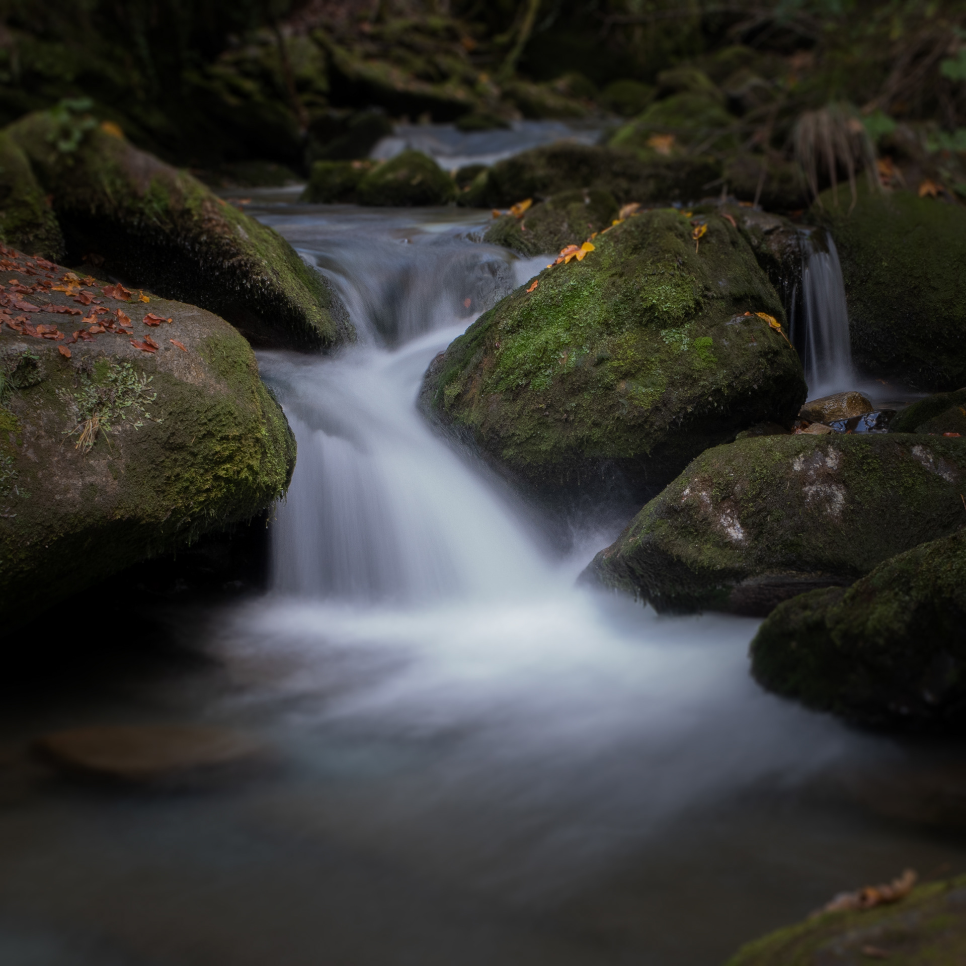 © Marius Hamann Photography