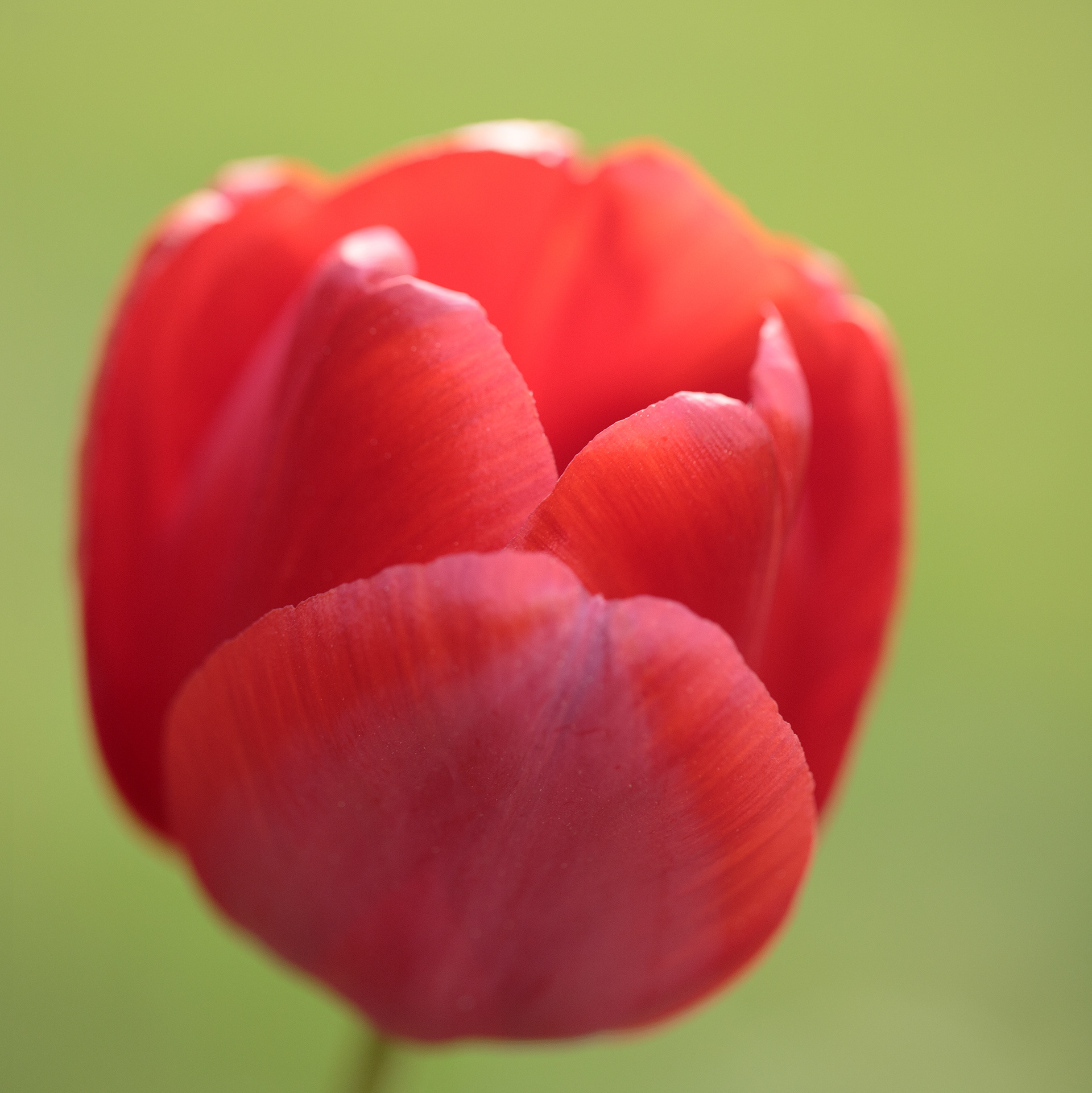 © Marius Hamann Photography