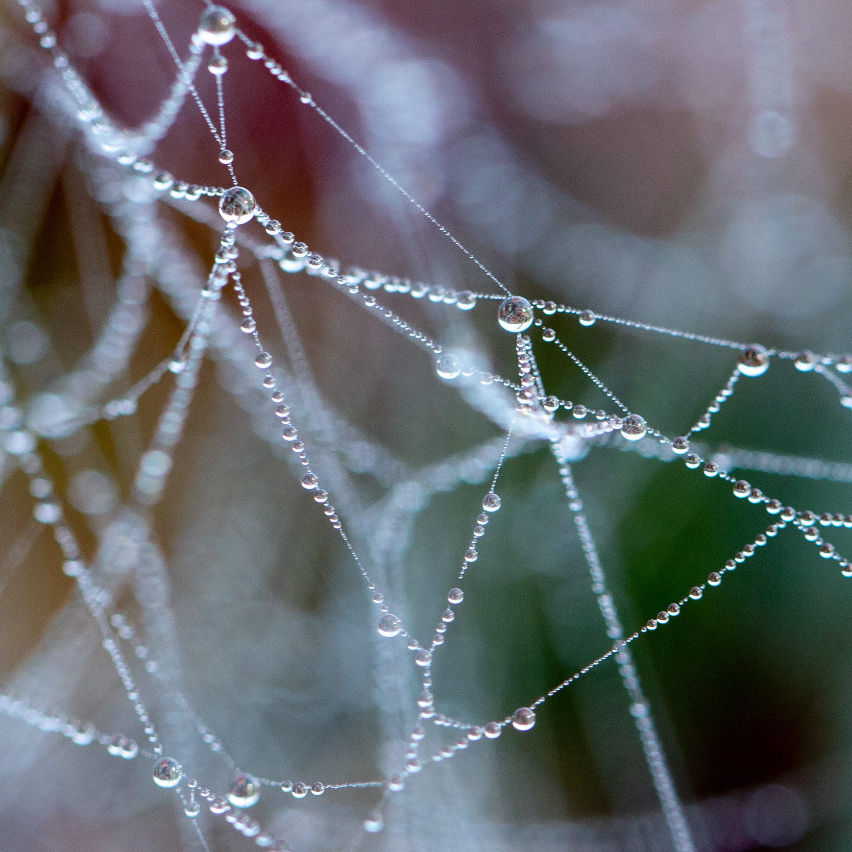 © Marius Hamann Photography