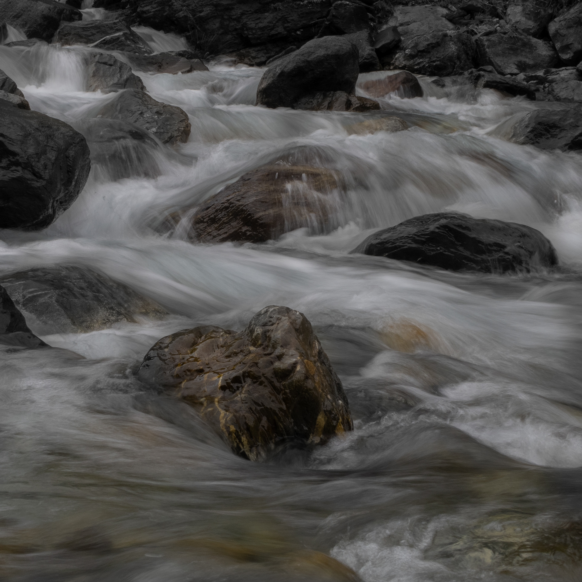 © Marius Hamann Photography