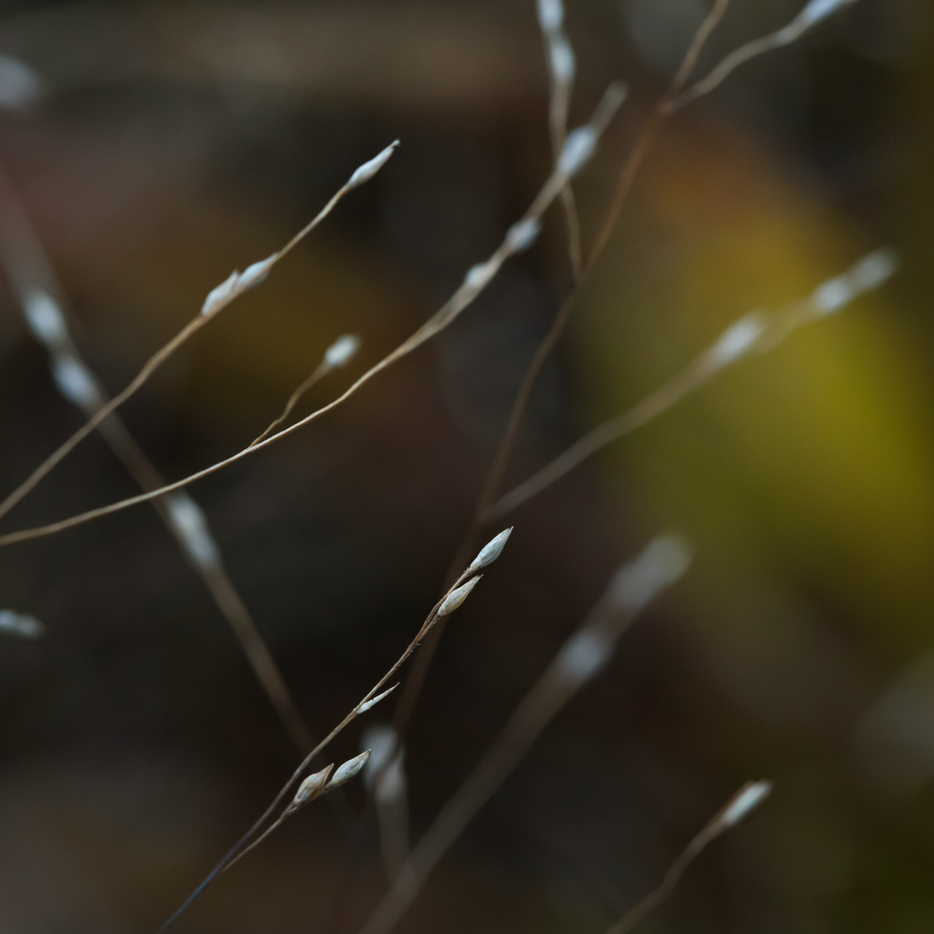 © Marius Hamann Photography