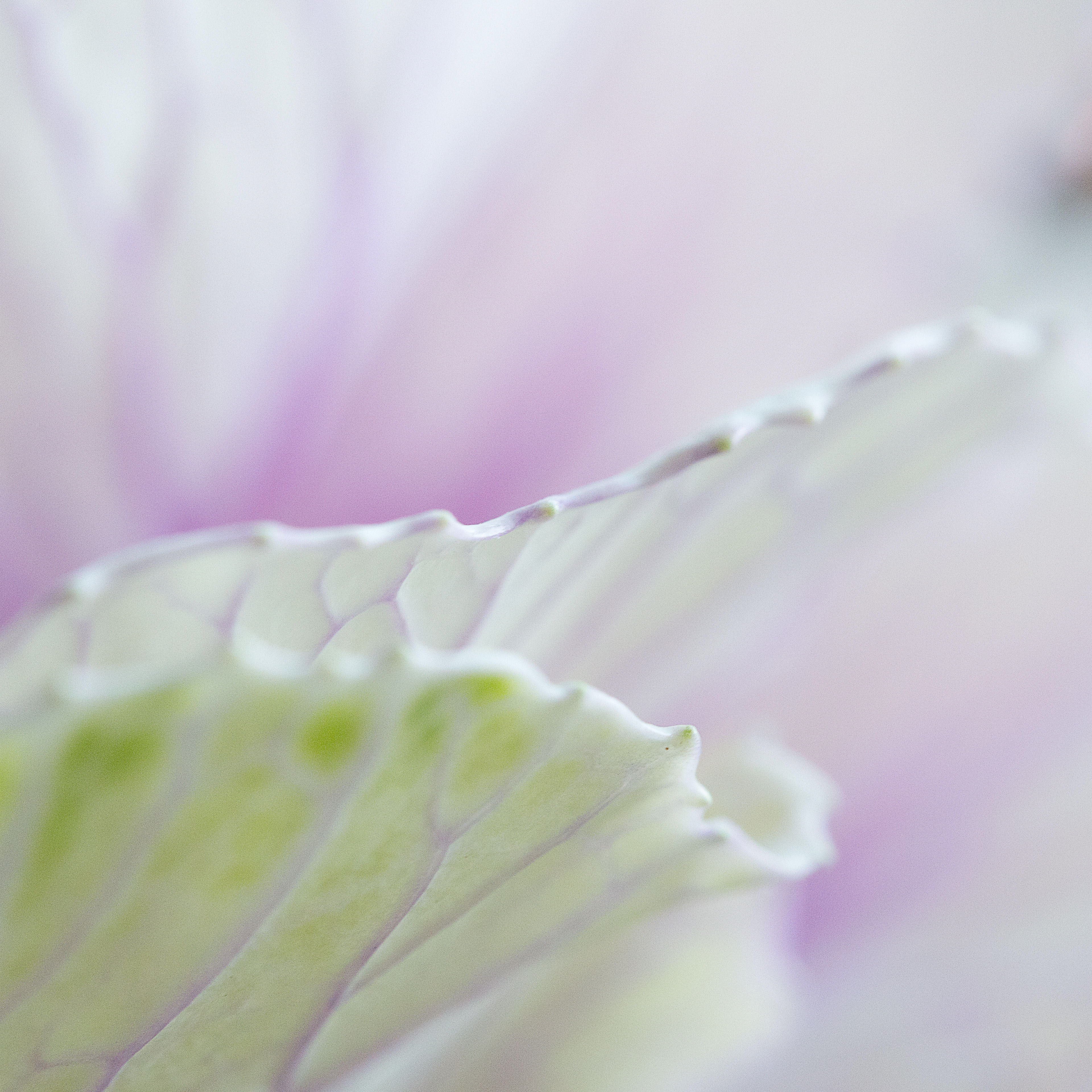© Marius Hamann Photography