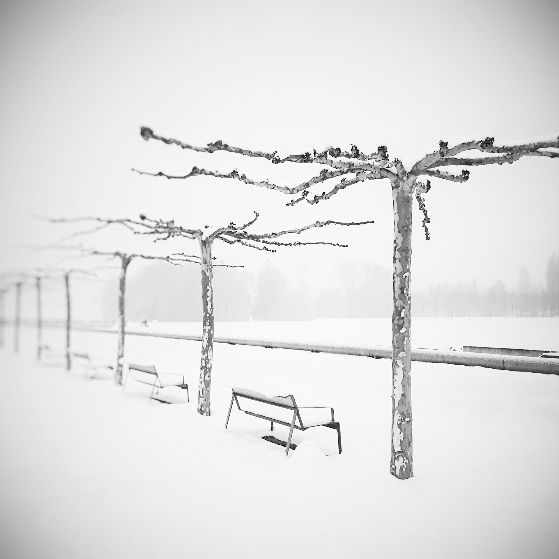 © Marius Hamann Photography