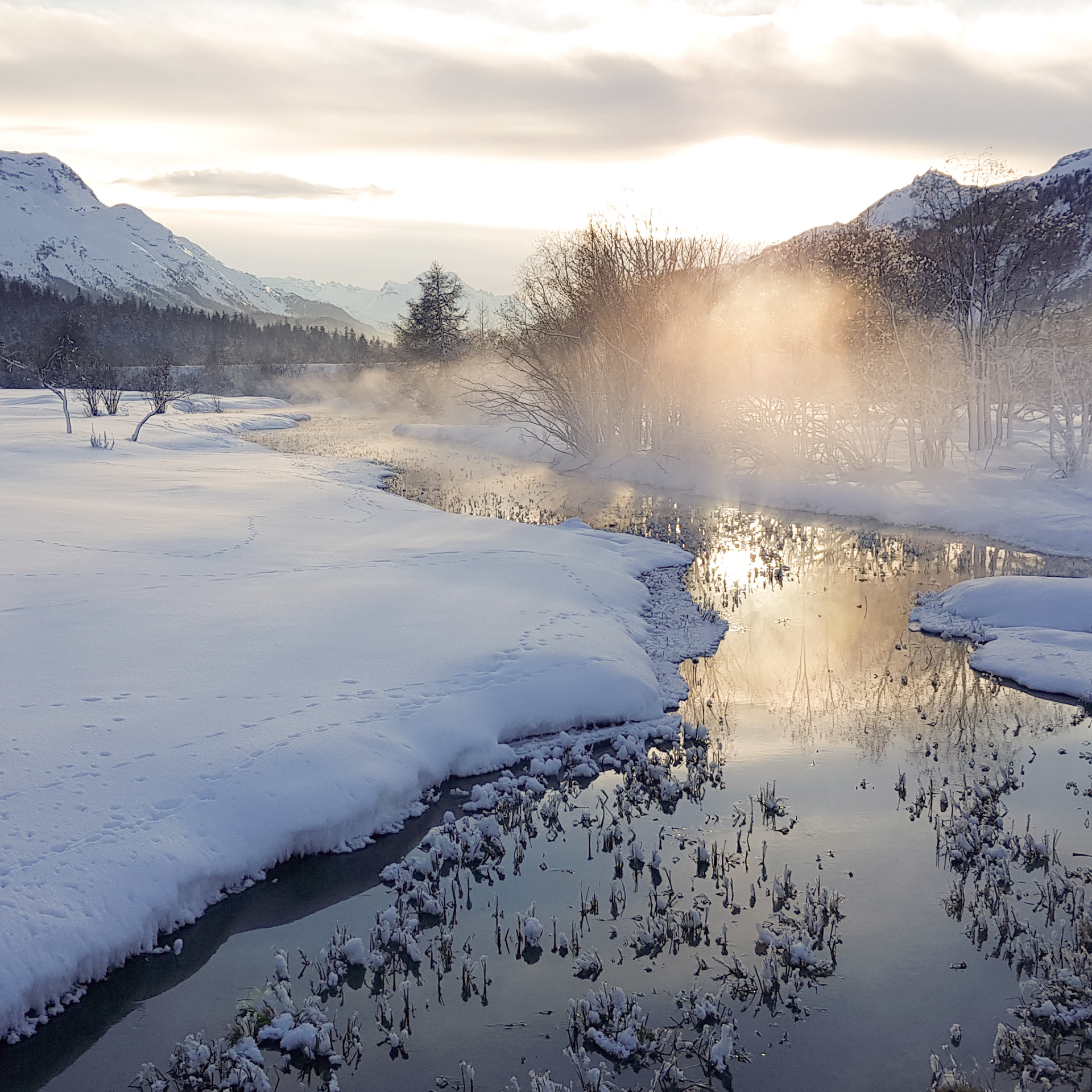 © Marius Hamann Photography