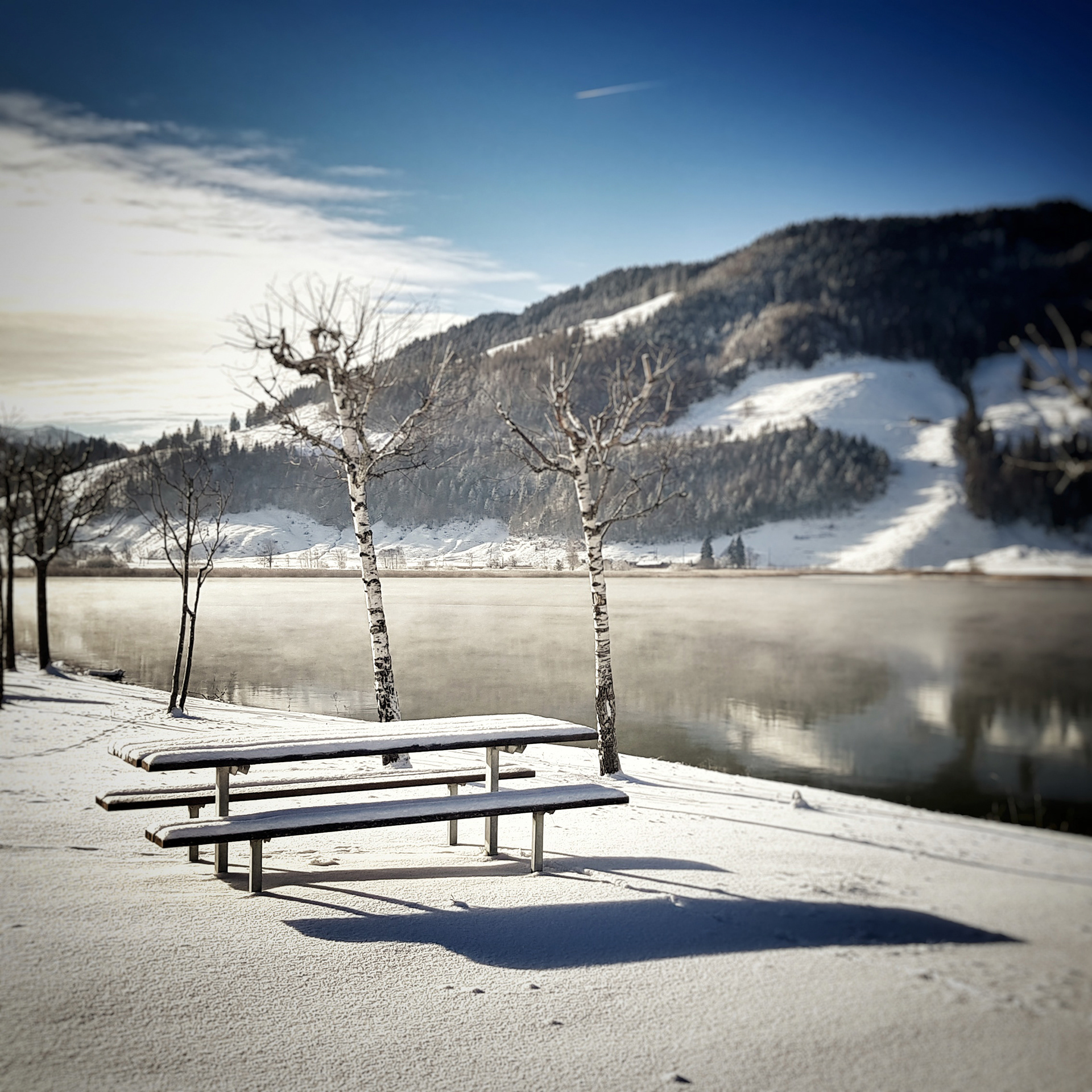 © Marius Hamann Photography