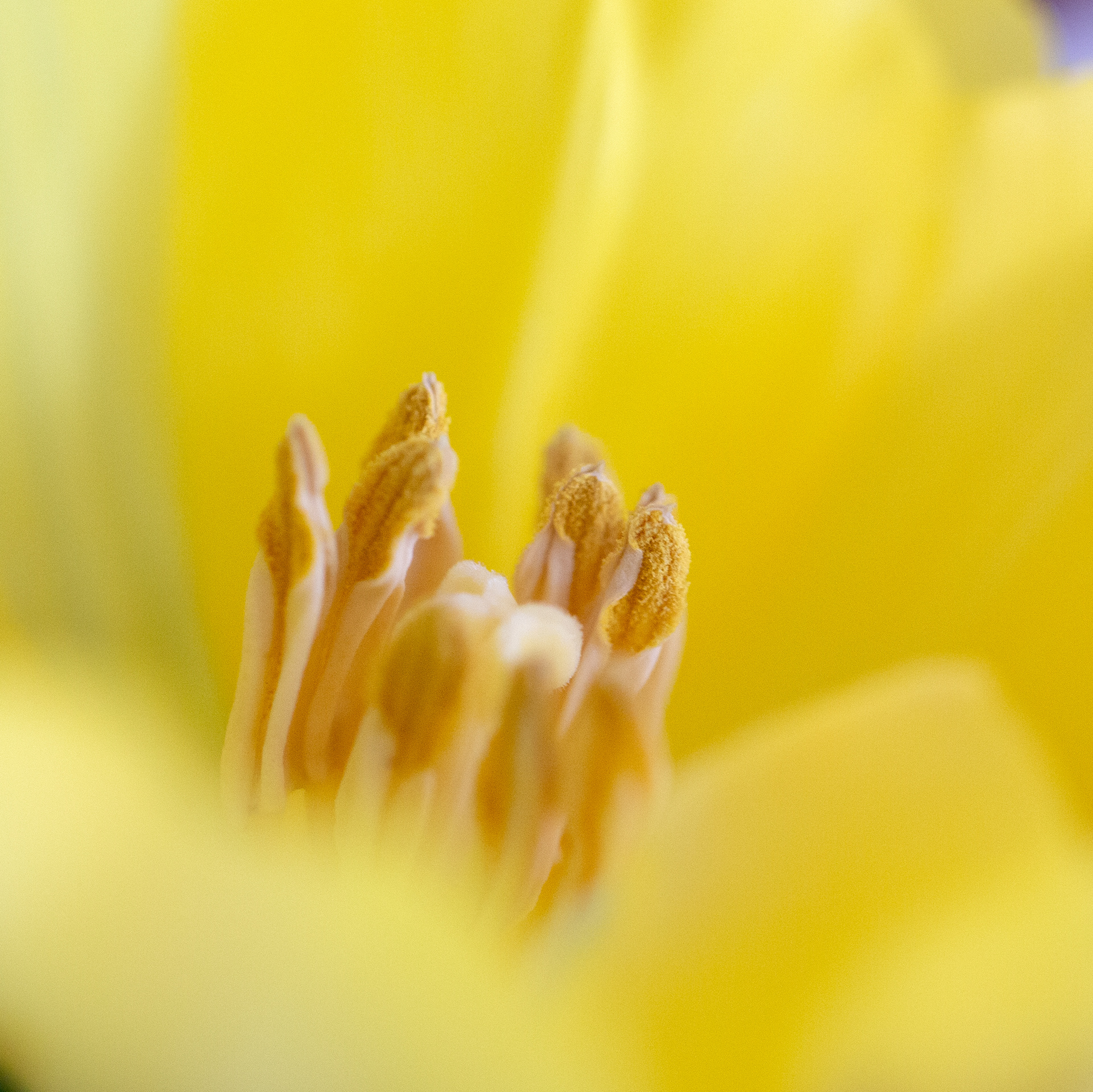 © Marius Hamann Photography