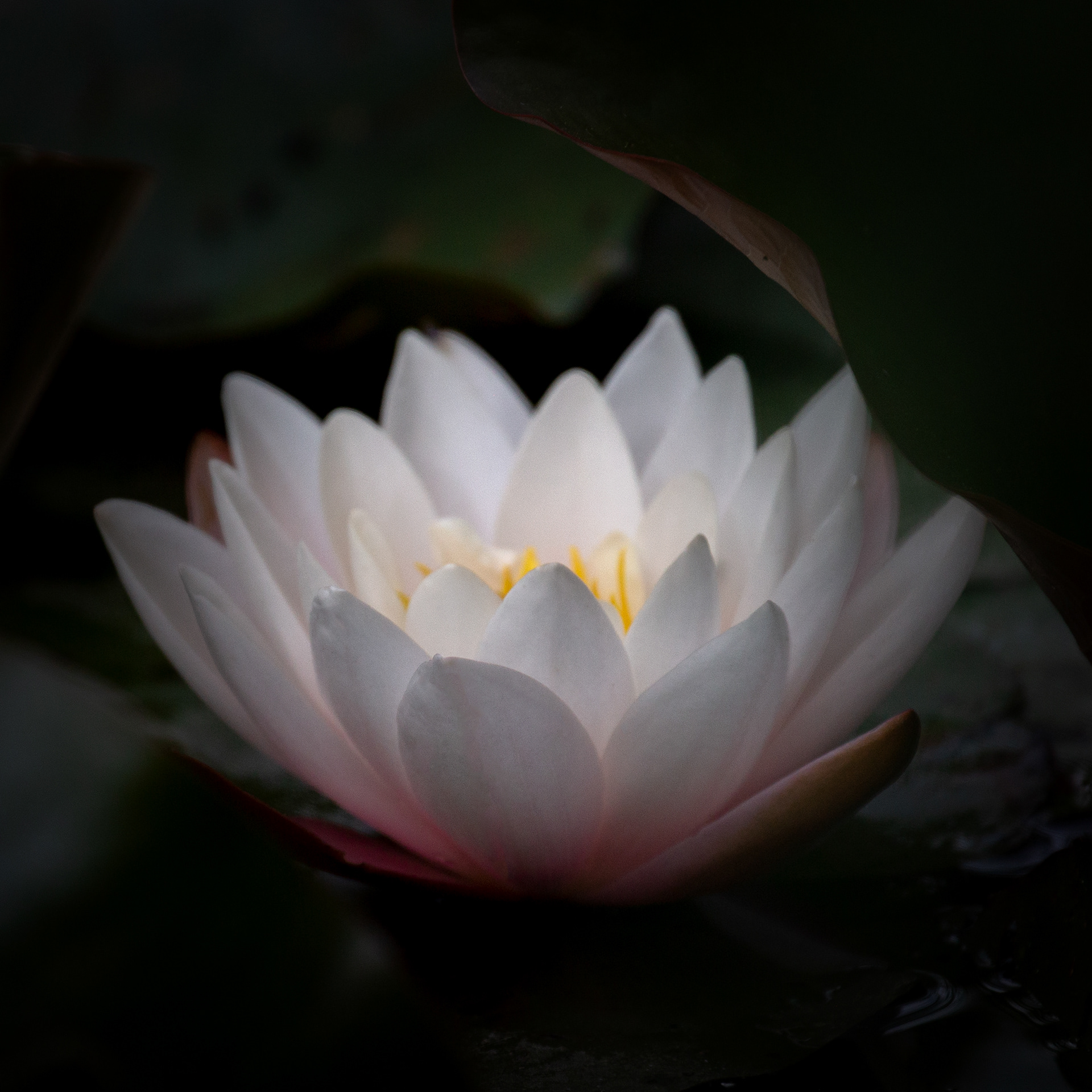 © Marius Hamann Photography