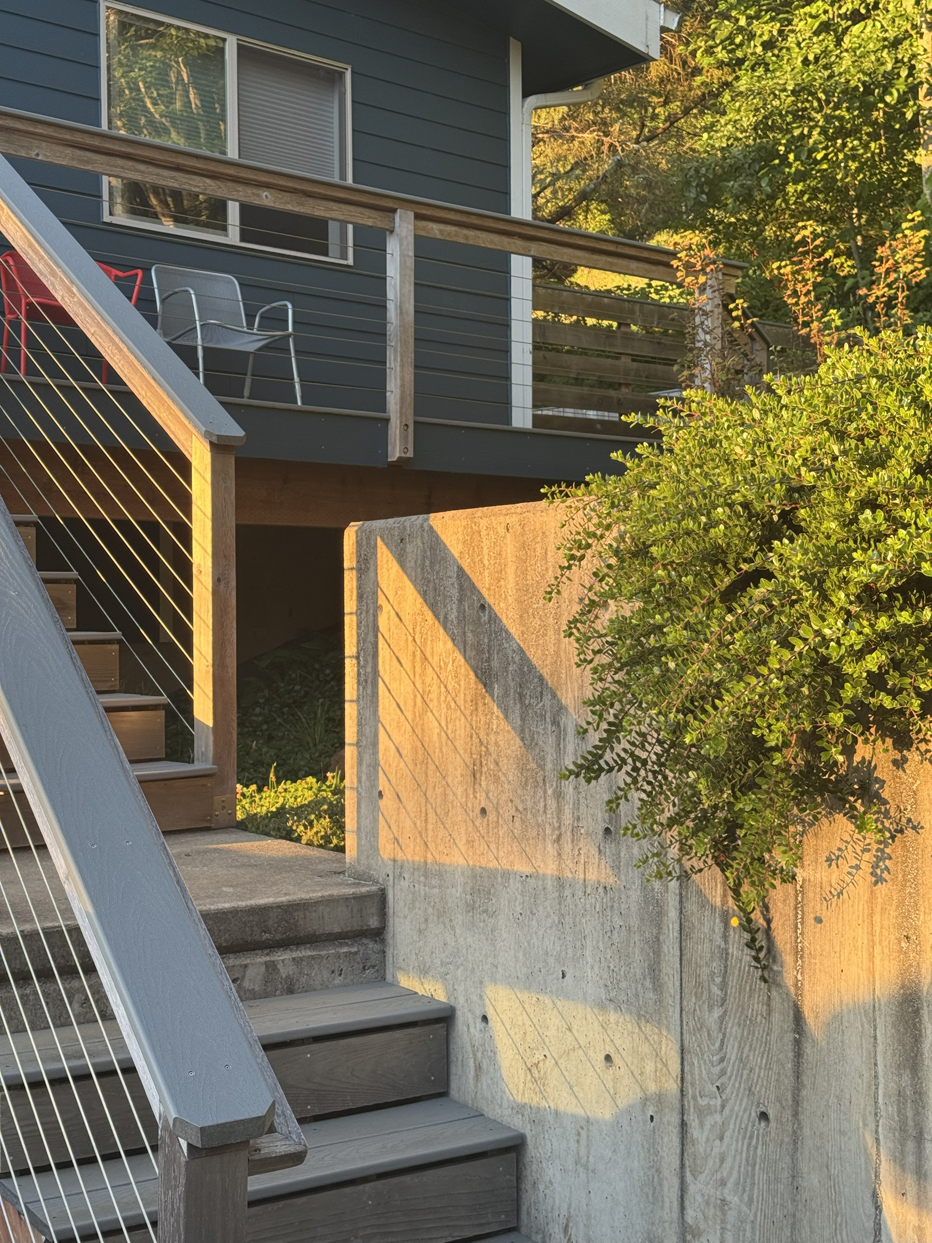 Planting after 4 years