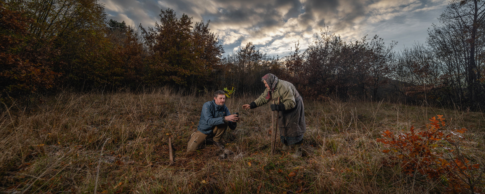 Truffle hunting