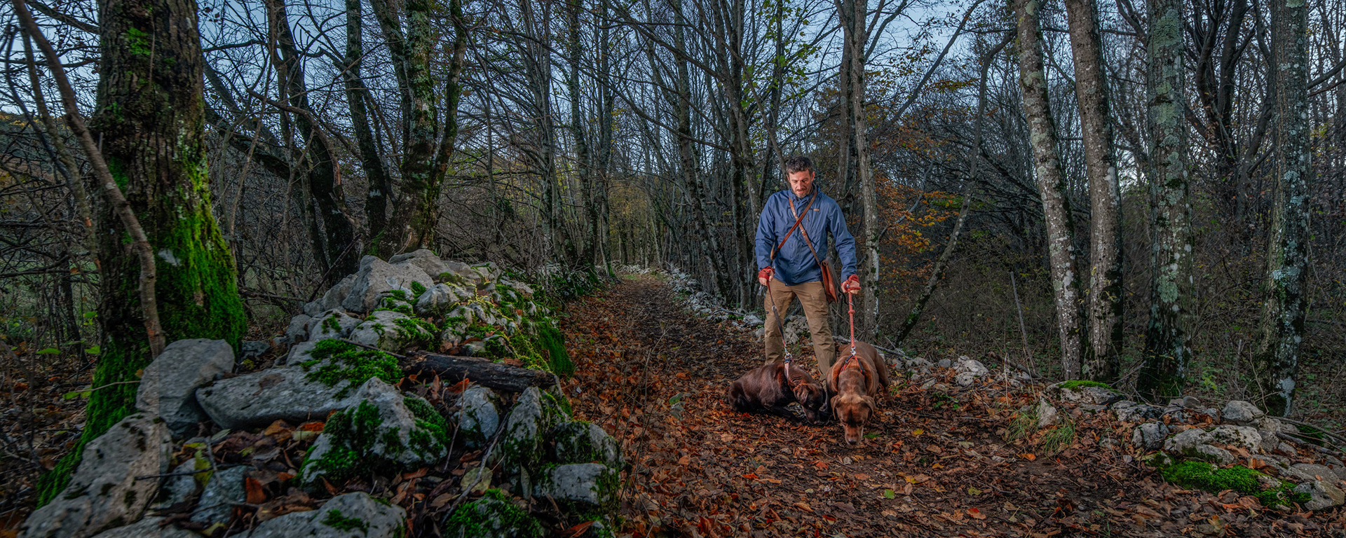 Truffle hunting