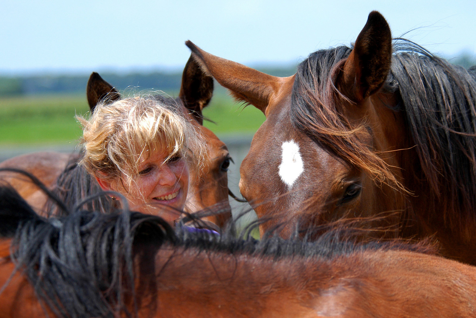 Vera & curious young horses.