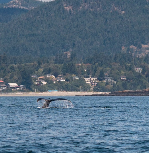 Vancouver-Victoria