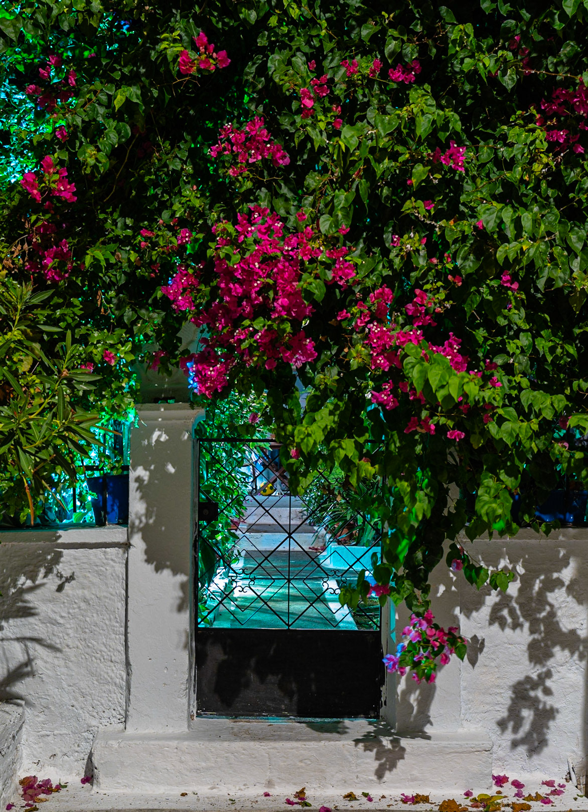 Spetses Island, Greece