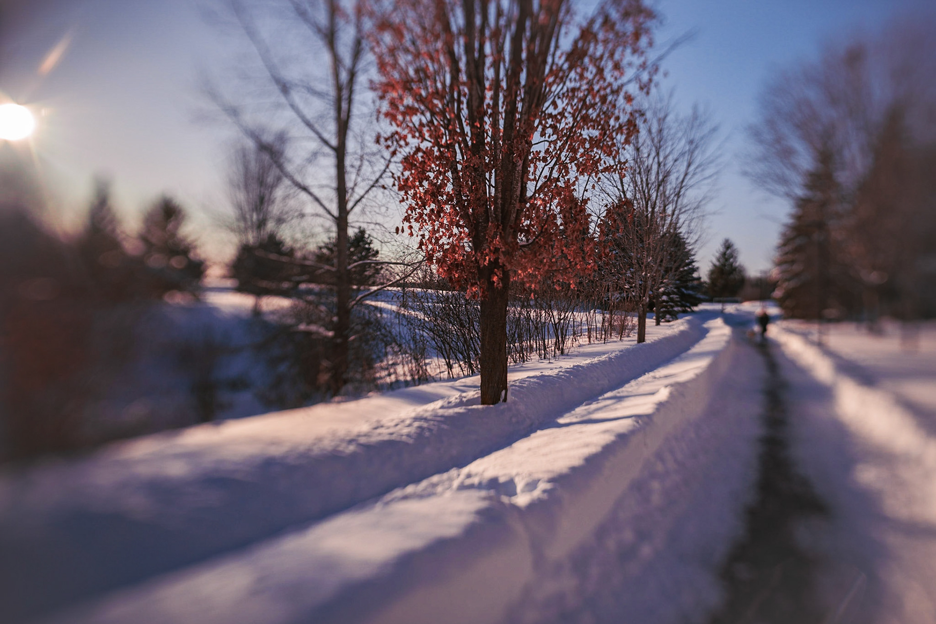 Ottawa Valley and NCR