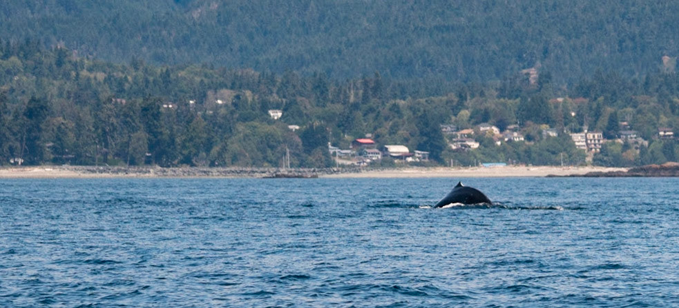 Vancouver Island, BC