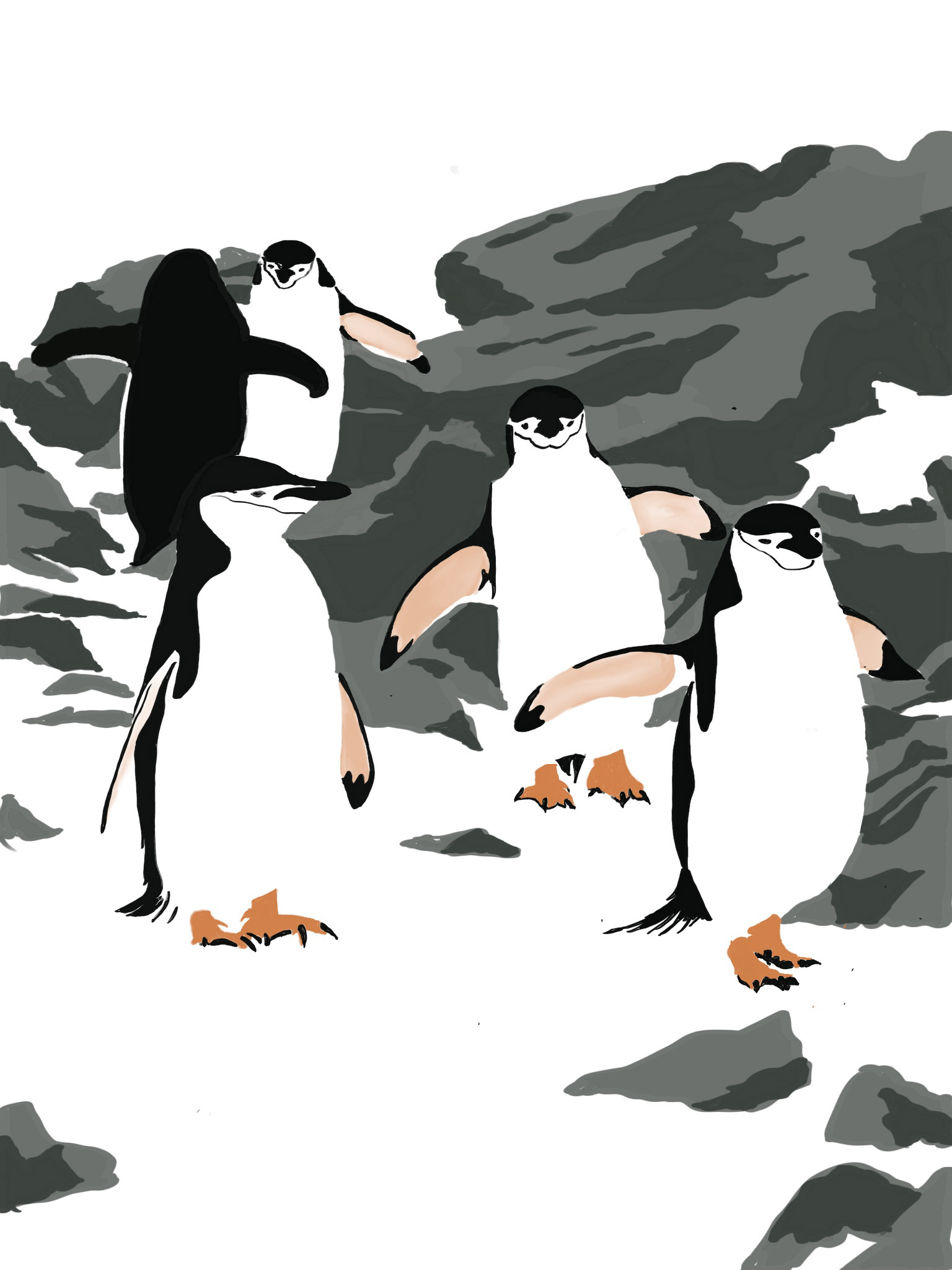 Penguins