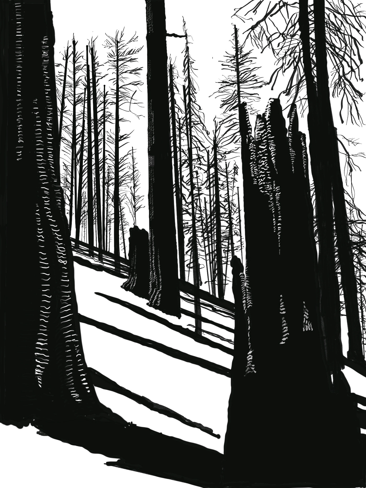 Sisters Burn, Oregon