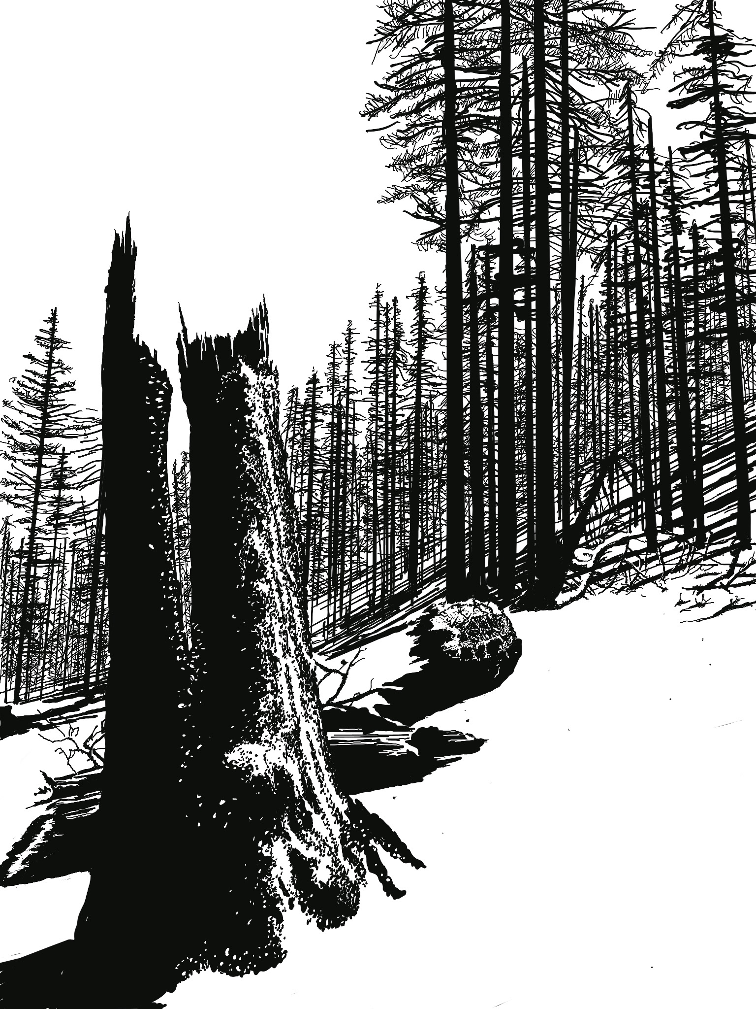 Sisters Burn, Oregon