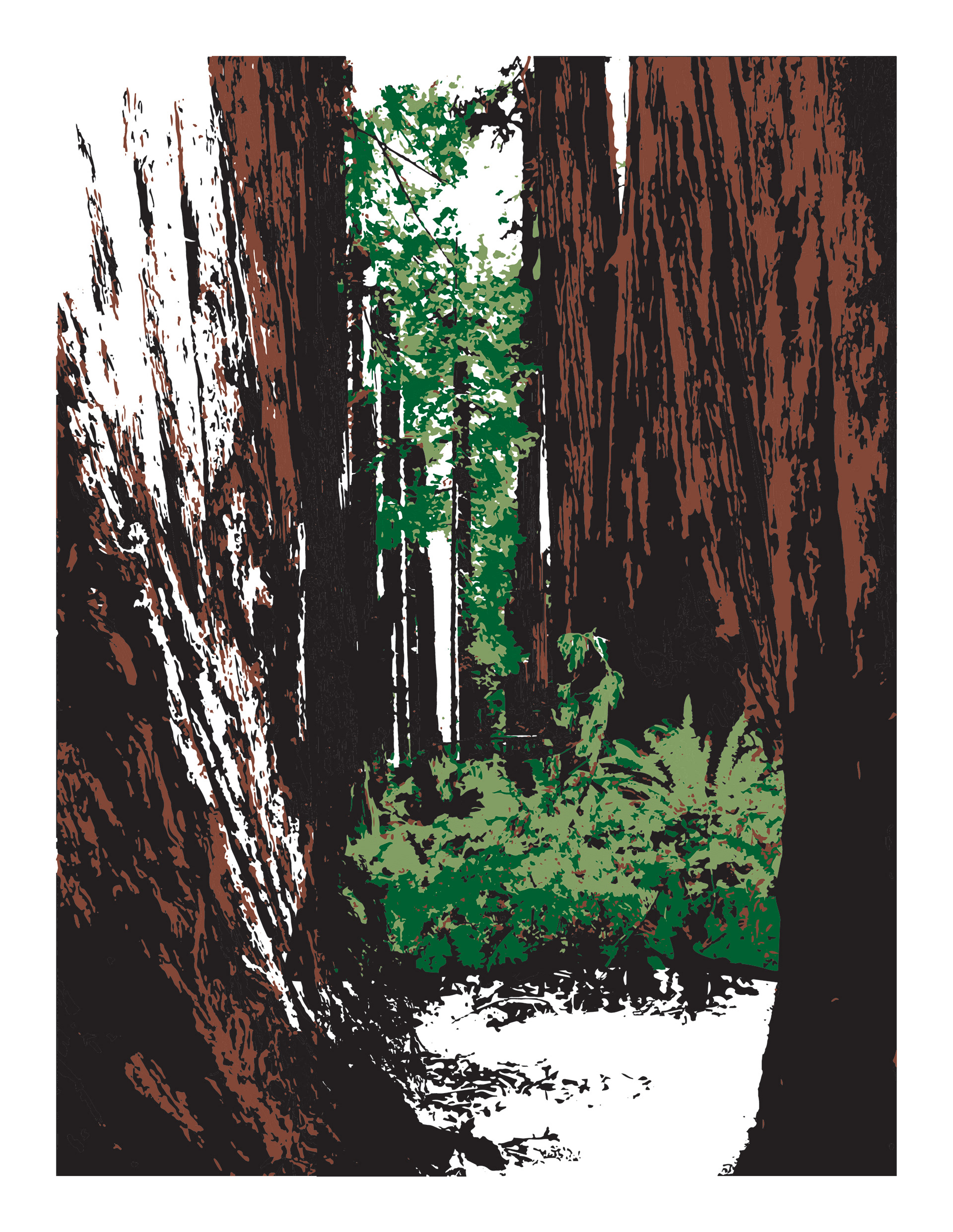 Redwood NP