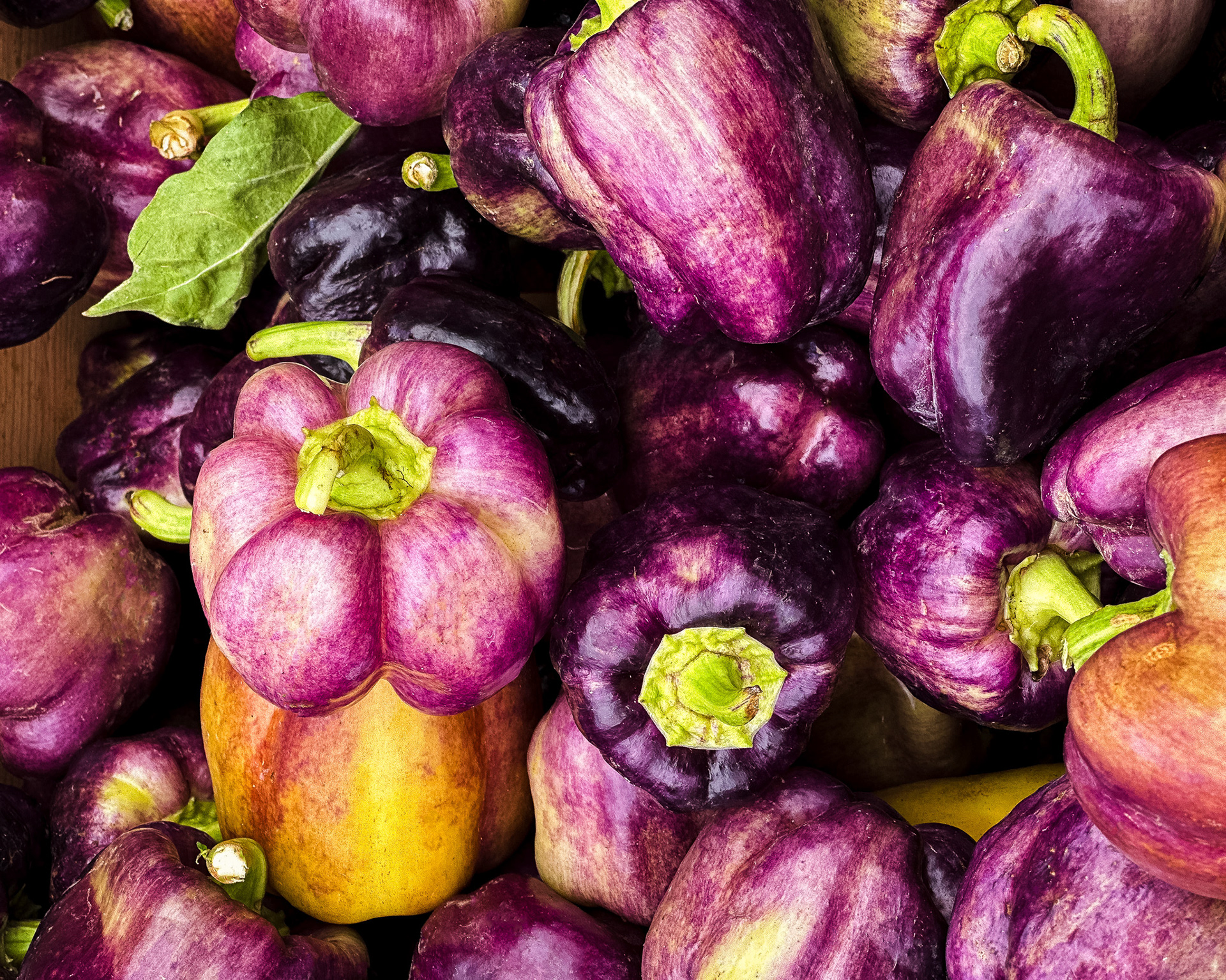 Himbeeren - Nina Bolders Food Photography 