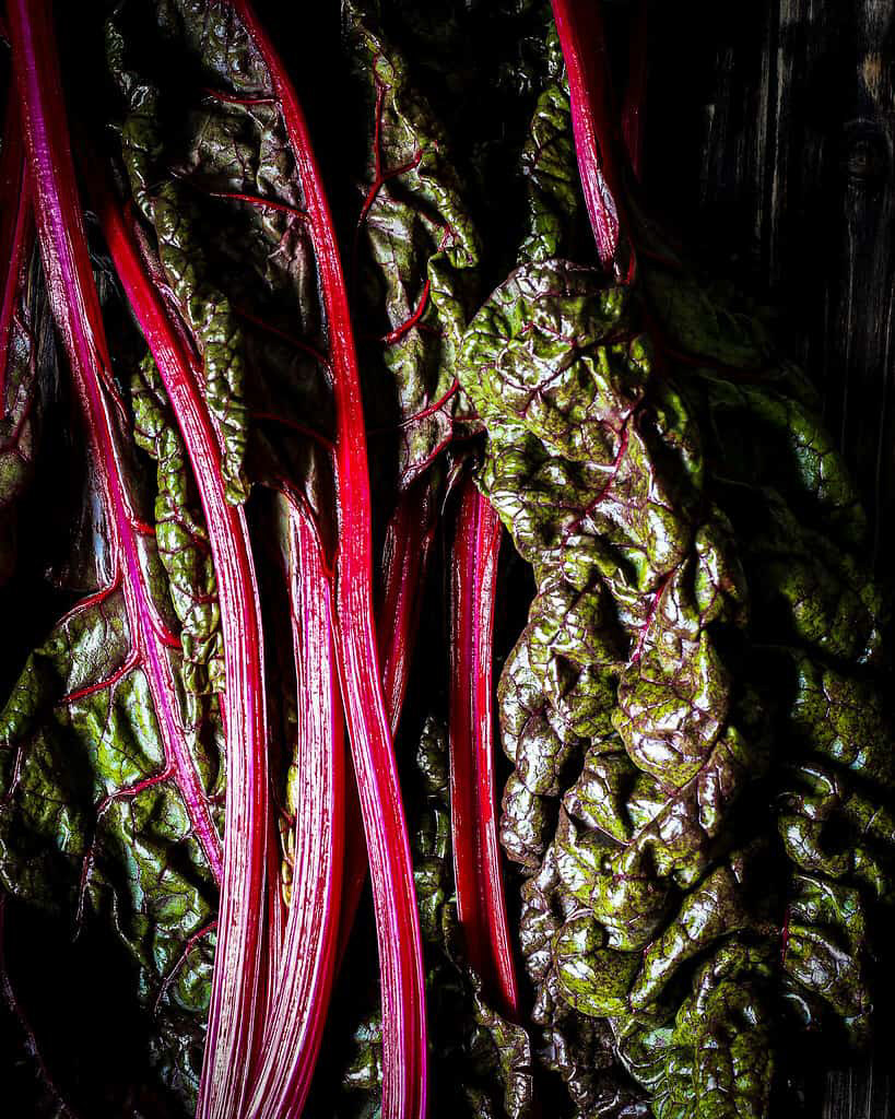 swiss chard by Nina Bolders Food Photography 