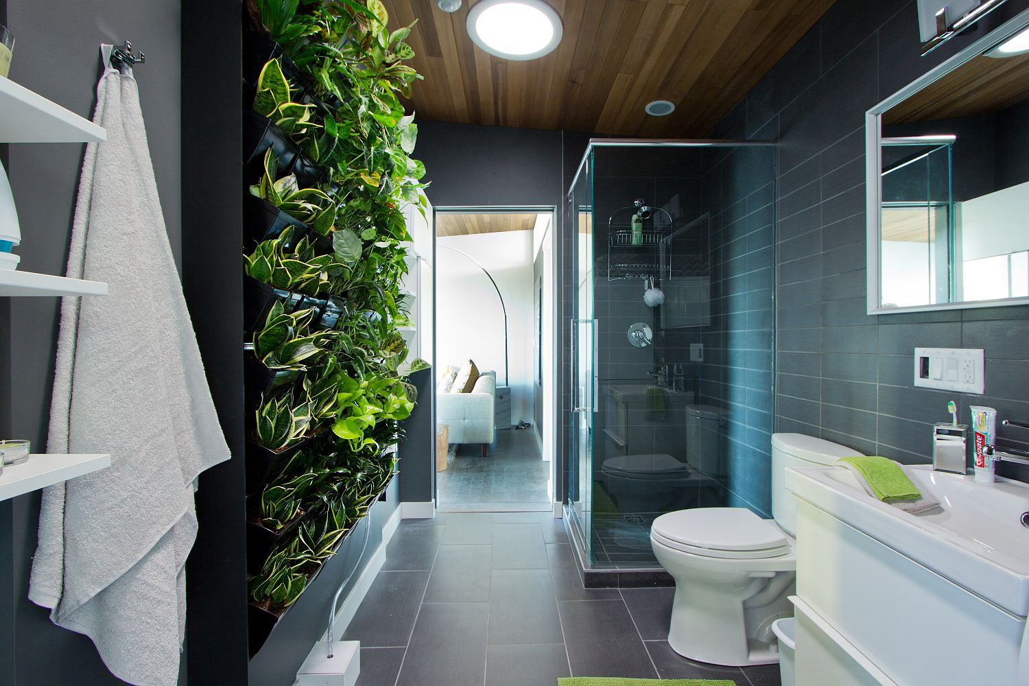 Living Wall and Sky Tubes in Bathroom