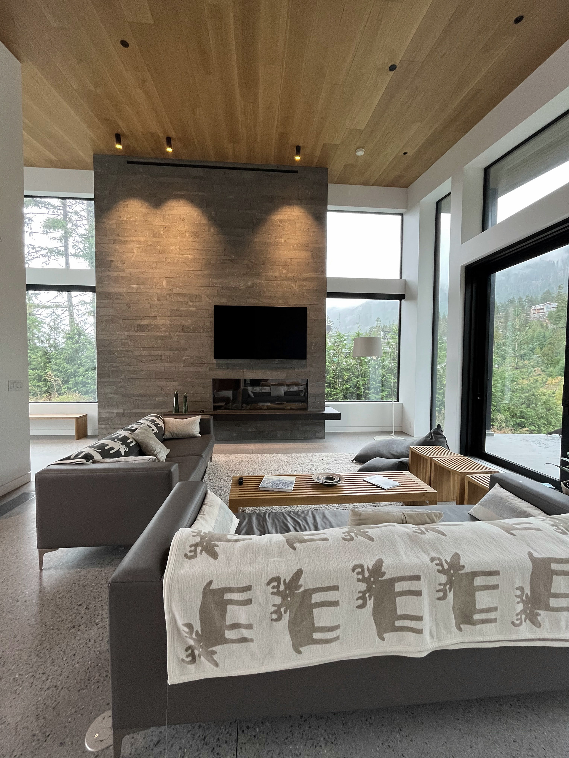 Hearth in Living Room, Polished Concrete Floors, Wood Ceiling, Tall Windows