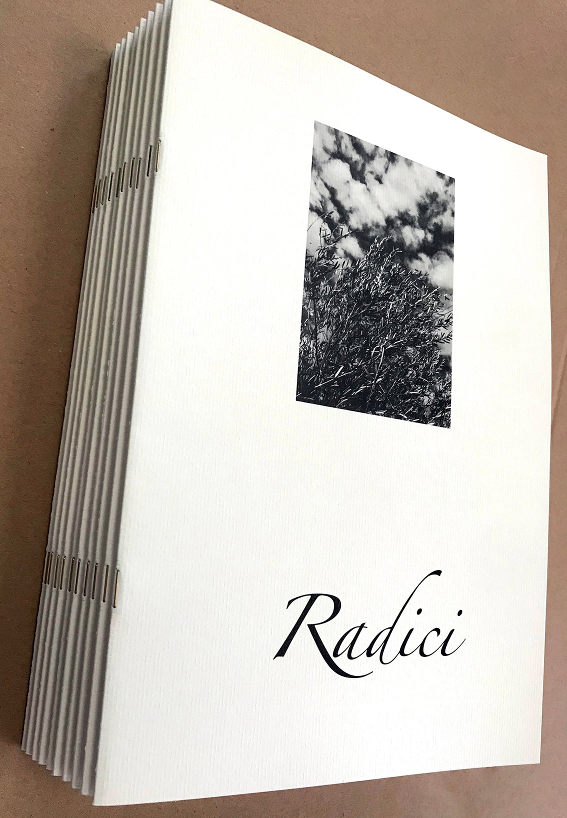 Raccolta di fotografie