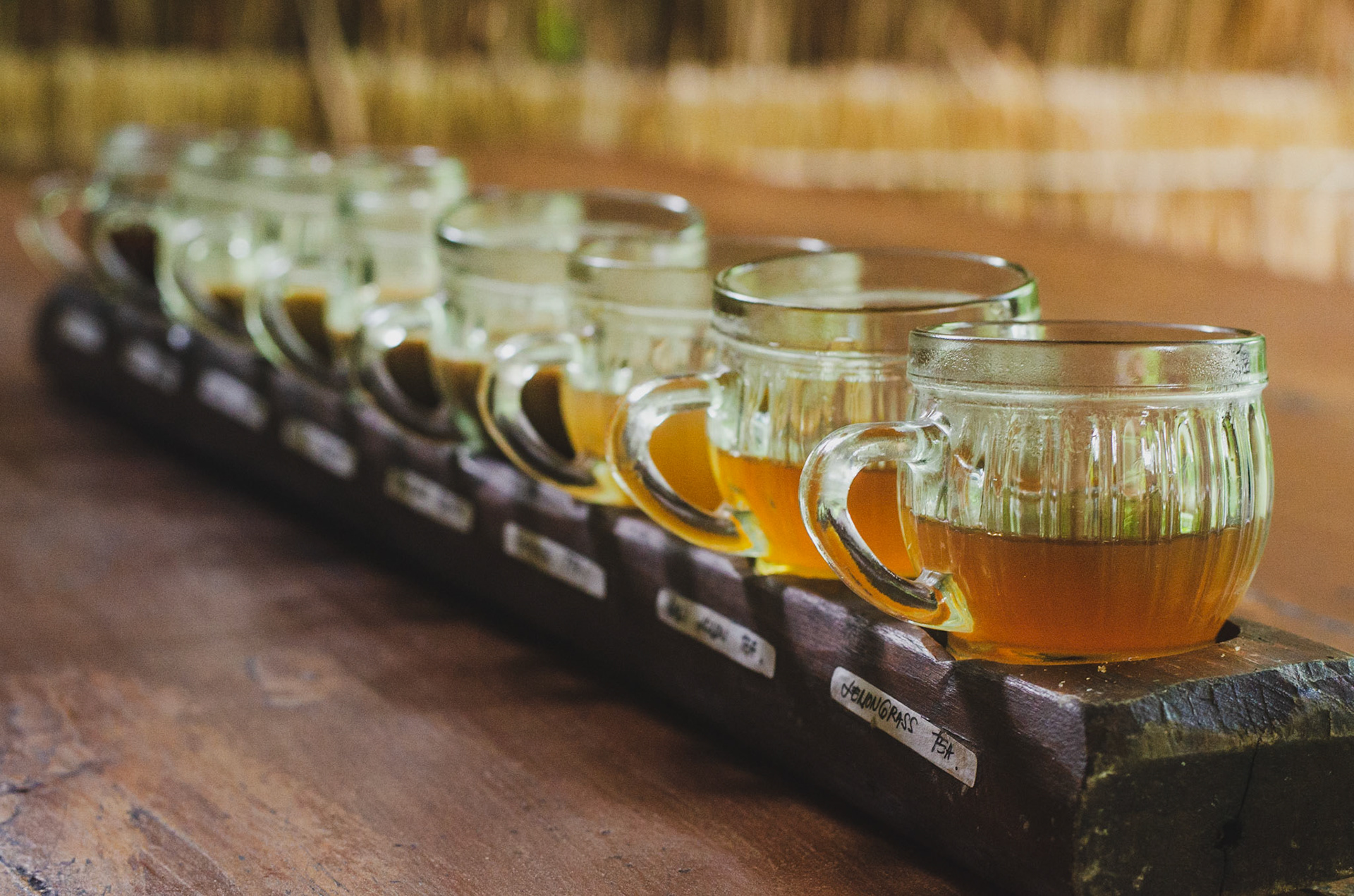 Set of indesian coffees and teas for tasting. Conjundo de cafés e chás da Indonesia para degustação. colorful, vibrant, product, still photography, photo studio, natural lighting, marketing, collection. arte, colorida, vibrante, foto still, produto, estúdio fotografia, luz natural, propaganda, comercial, coleção. rio de janeiro, comida, site, ecommerce, food
