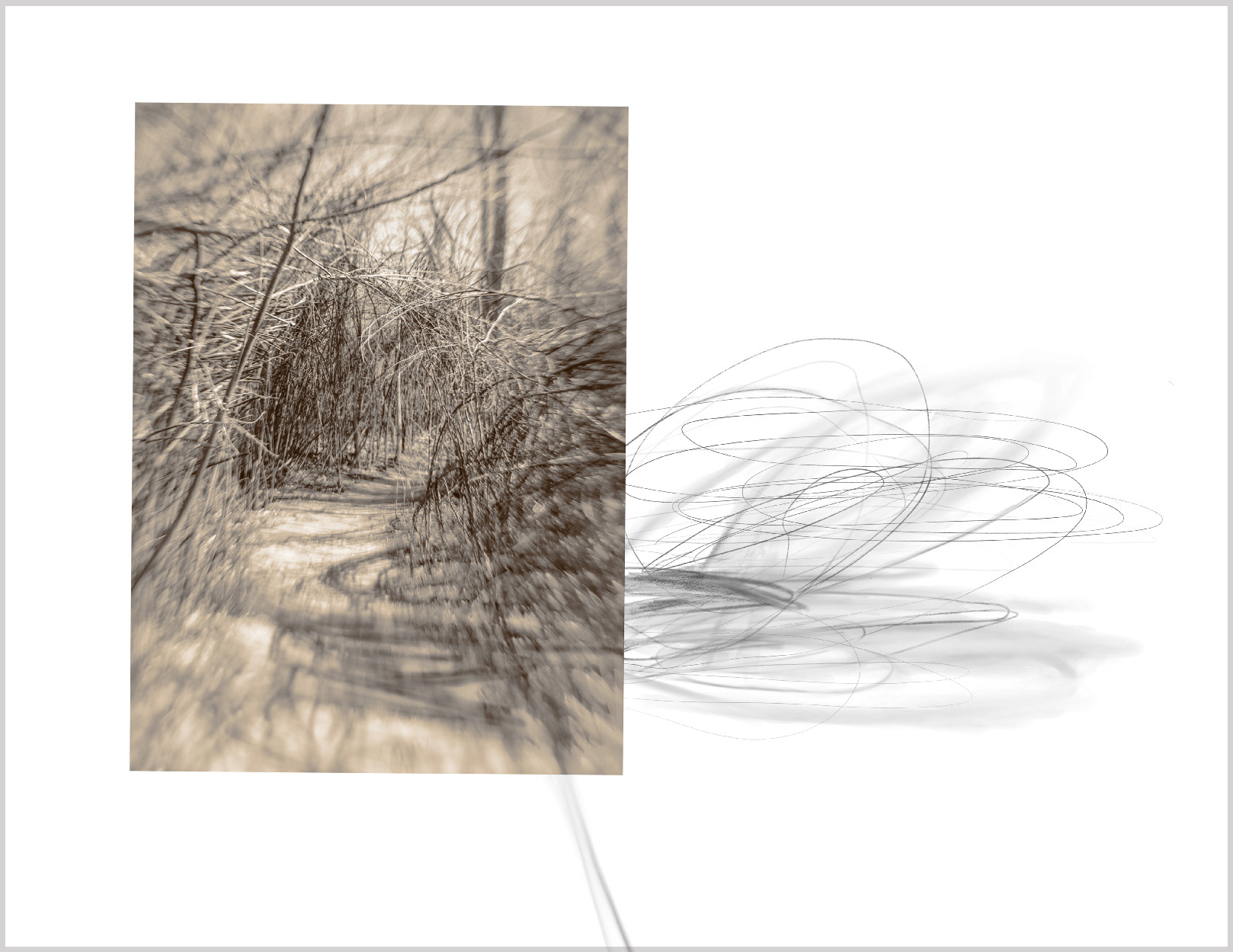 Rio Rancho Bosque 4 & Drawing