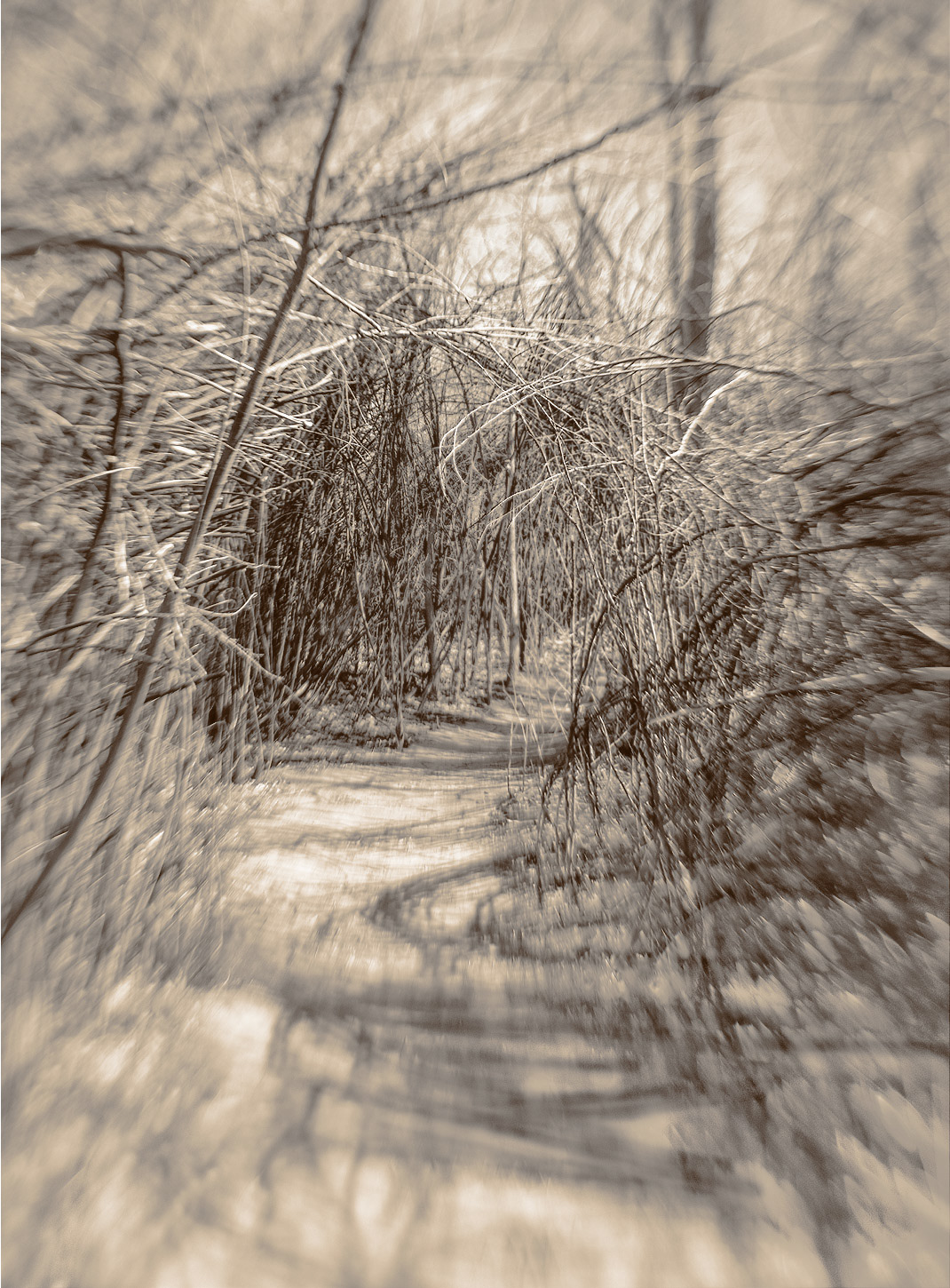 Rio Rancho Bosque 4