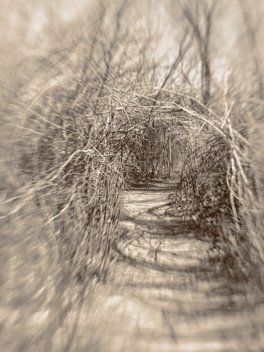 Rio Rancho Bosque 2