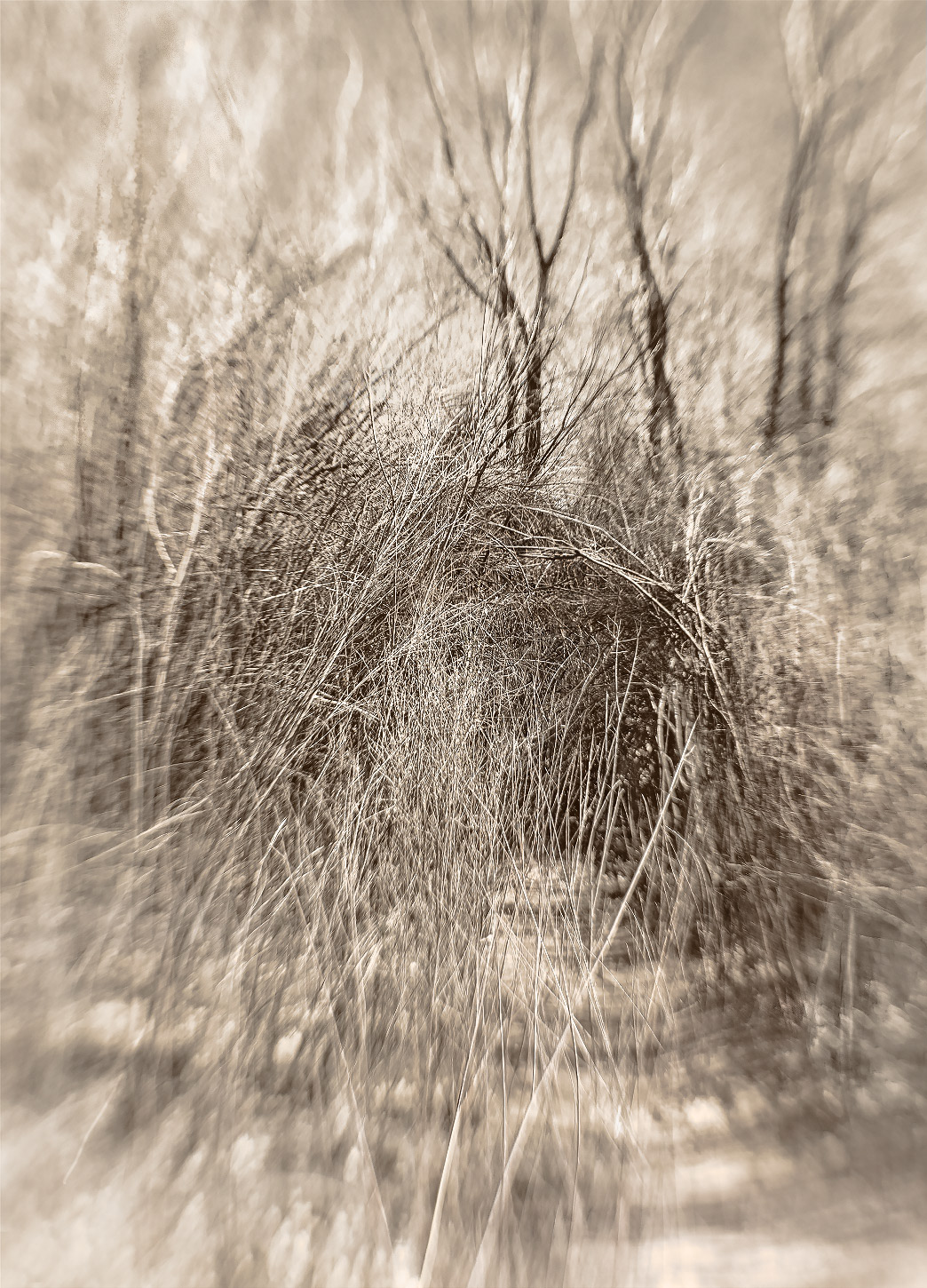 Rio Rancho Bosque 1
