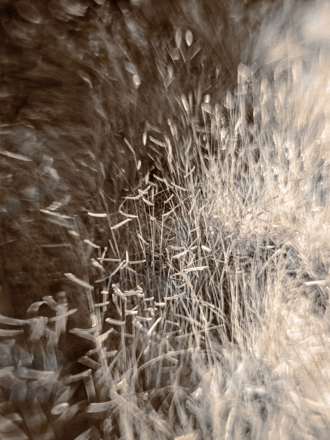 Blu Gamma Composition 1