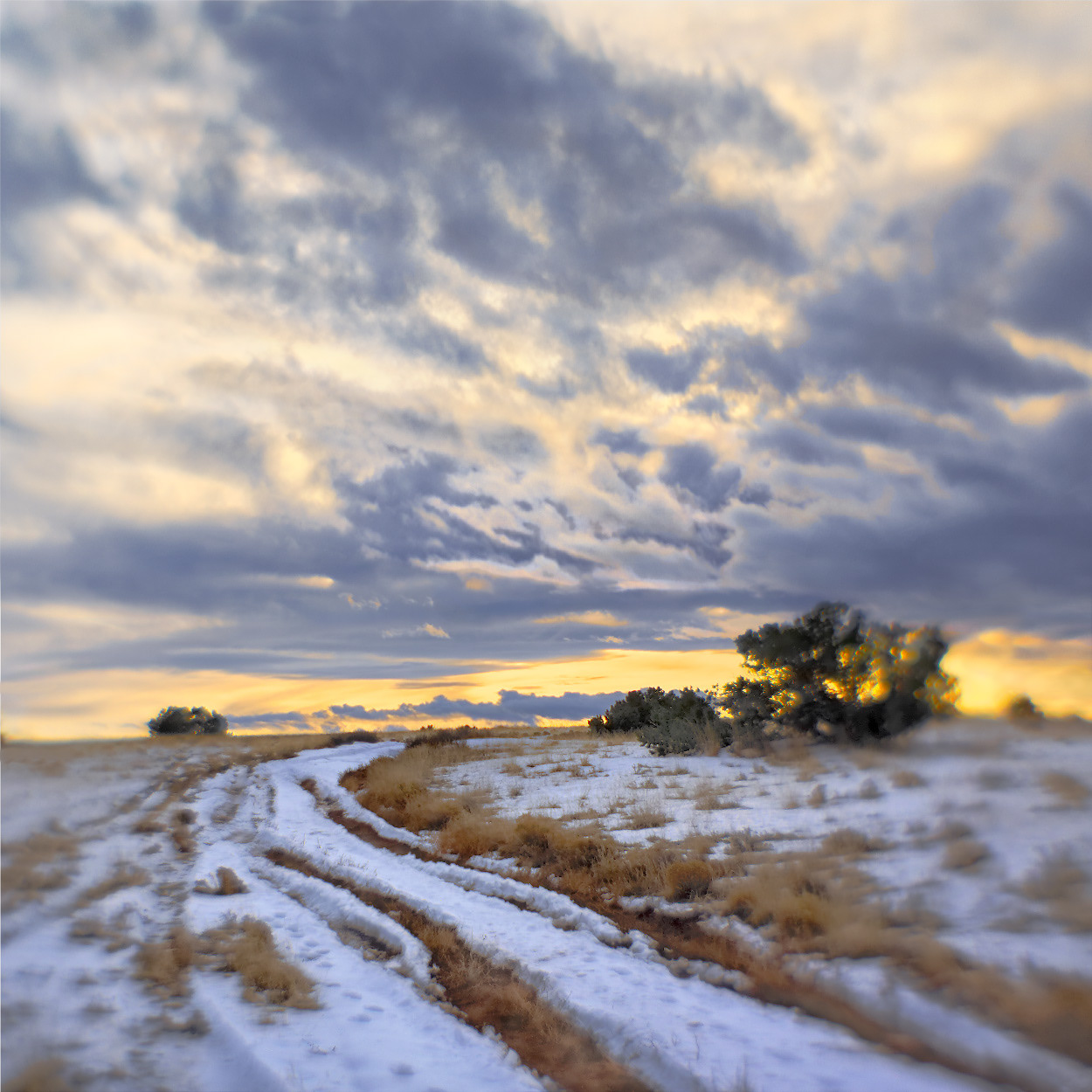 Winter Sunset, Dancing Ground