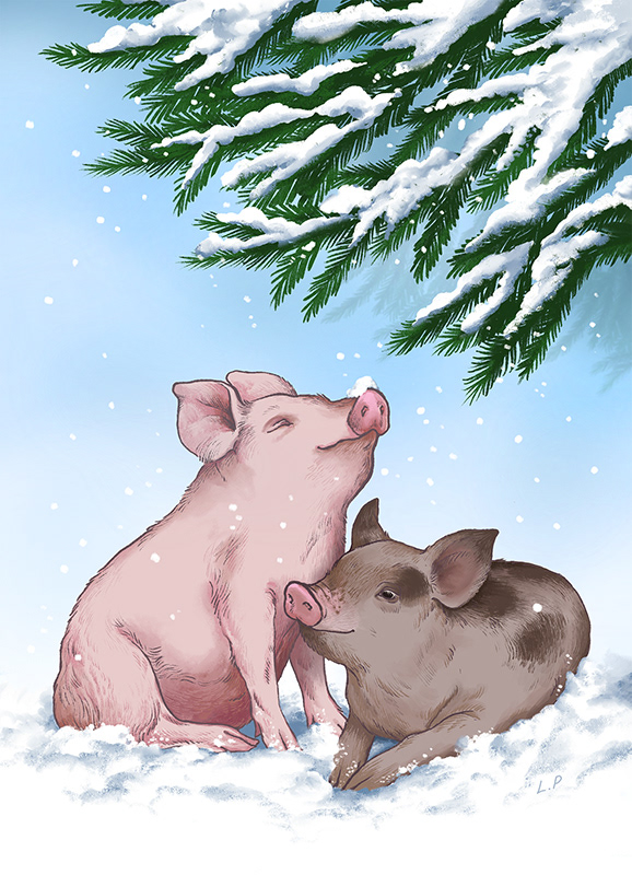 Korttikuvitus Oikeutta Eläimille -järjestölle