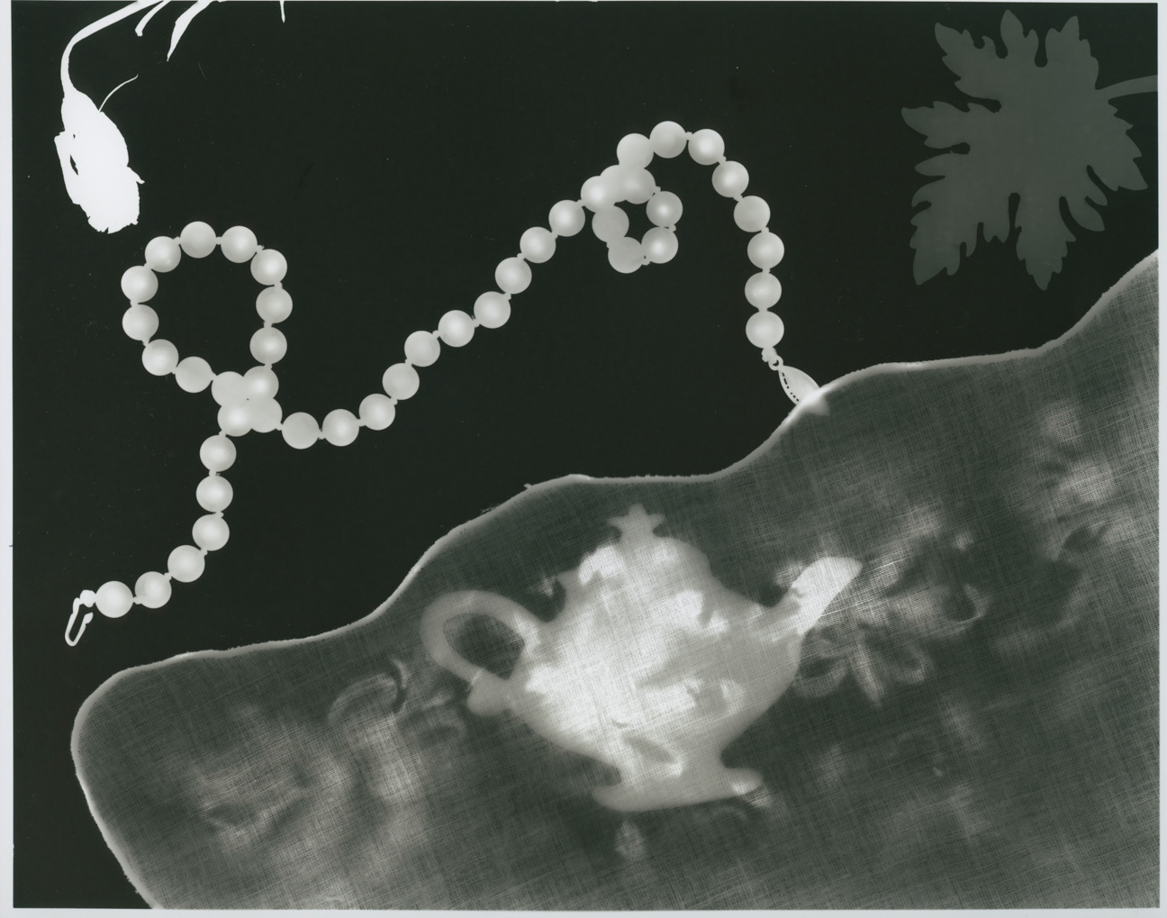 A cameraless image, the photogram