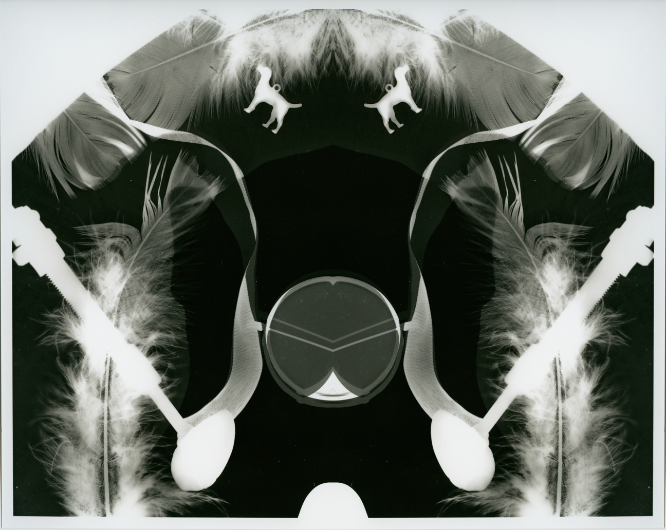 A symmetry design from the original photogram, it was transformed in Photoshop.