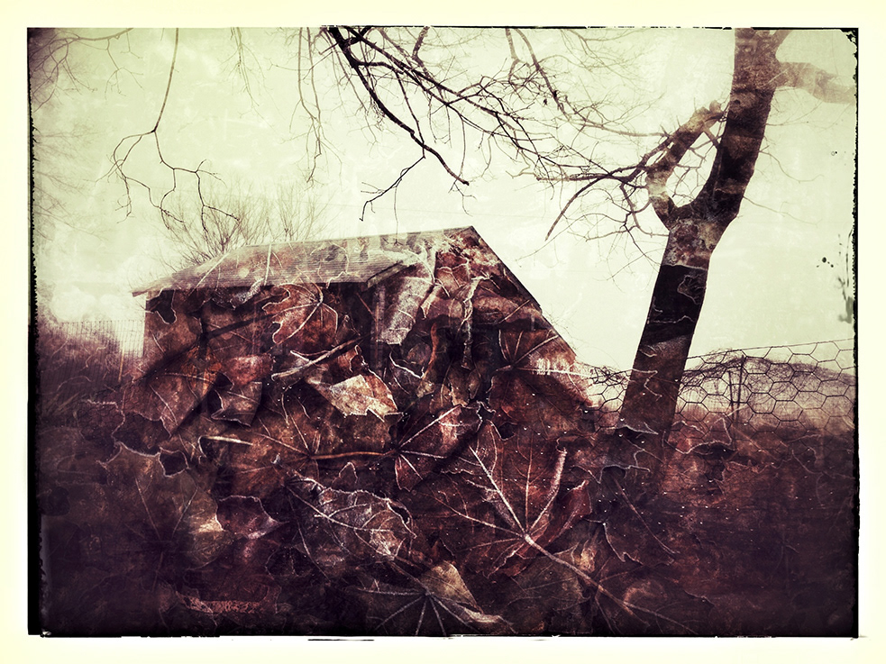The leaf farm