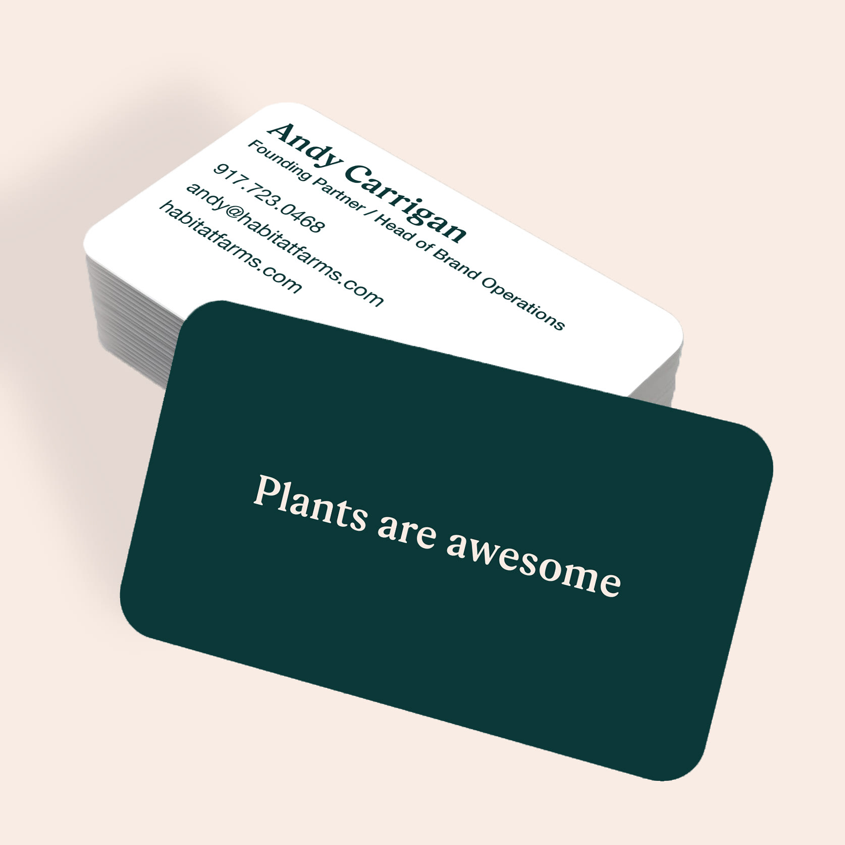 Business Card Designs