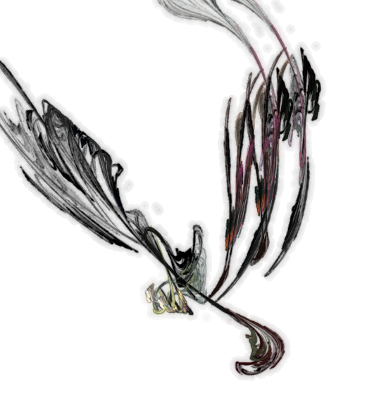 Unidenfied_botanic_2