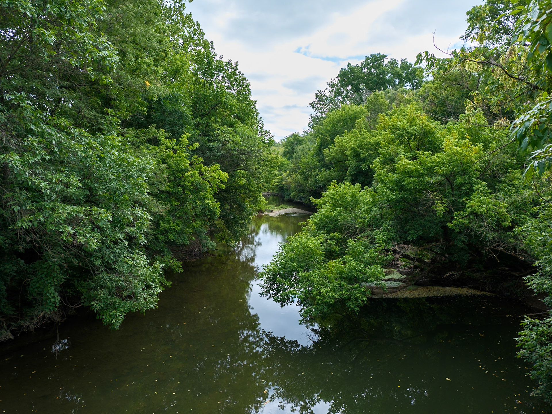 Reflected River Near Morris Arboretum August  2024