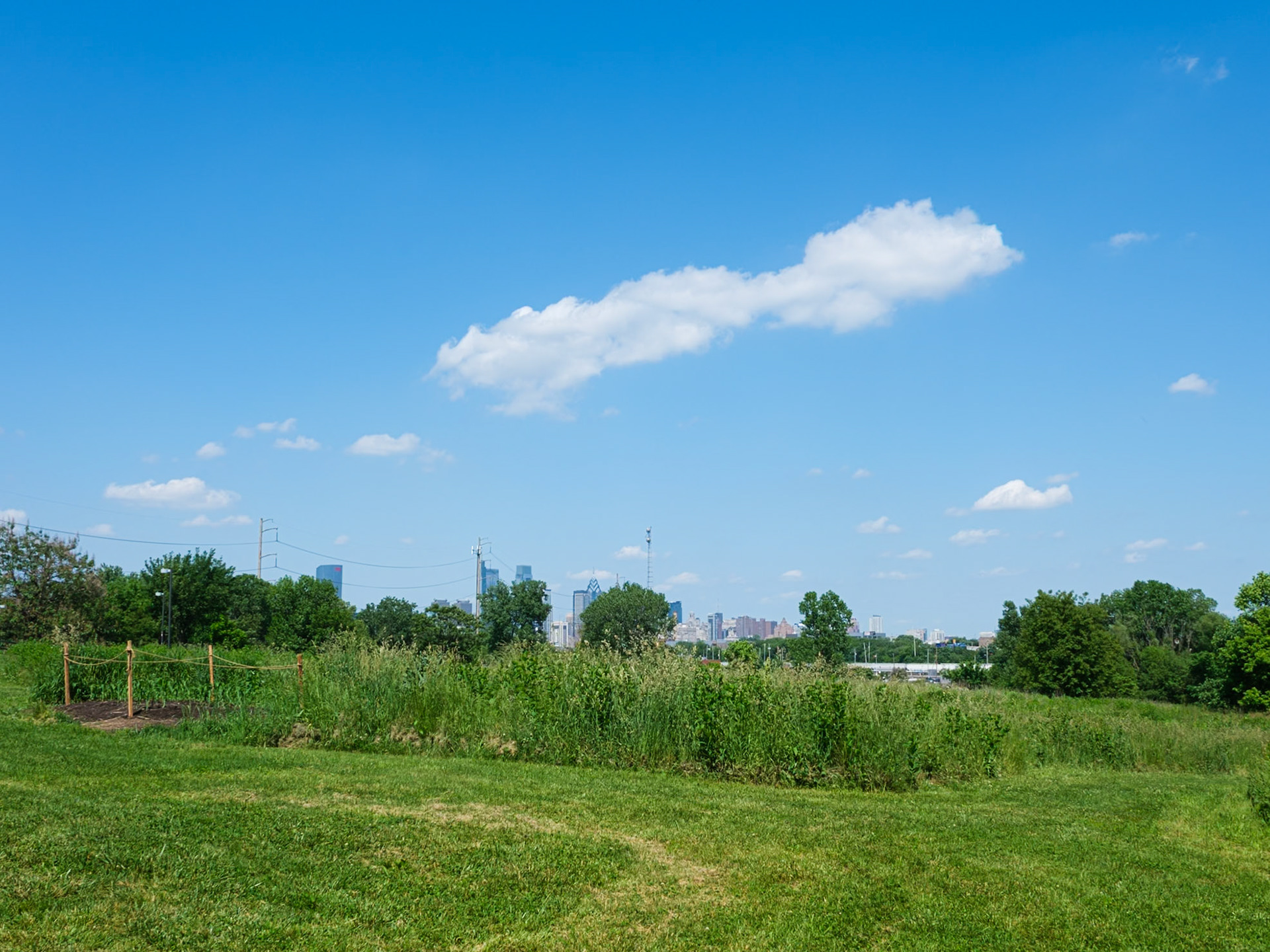 Spring View of City with Field Area from Bartram's