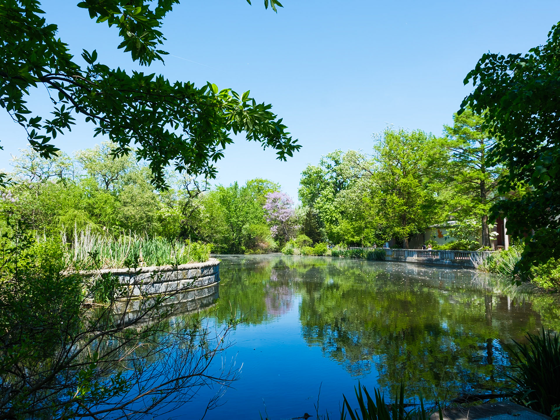 Zoo Wetlands and Pond