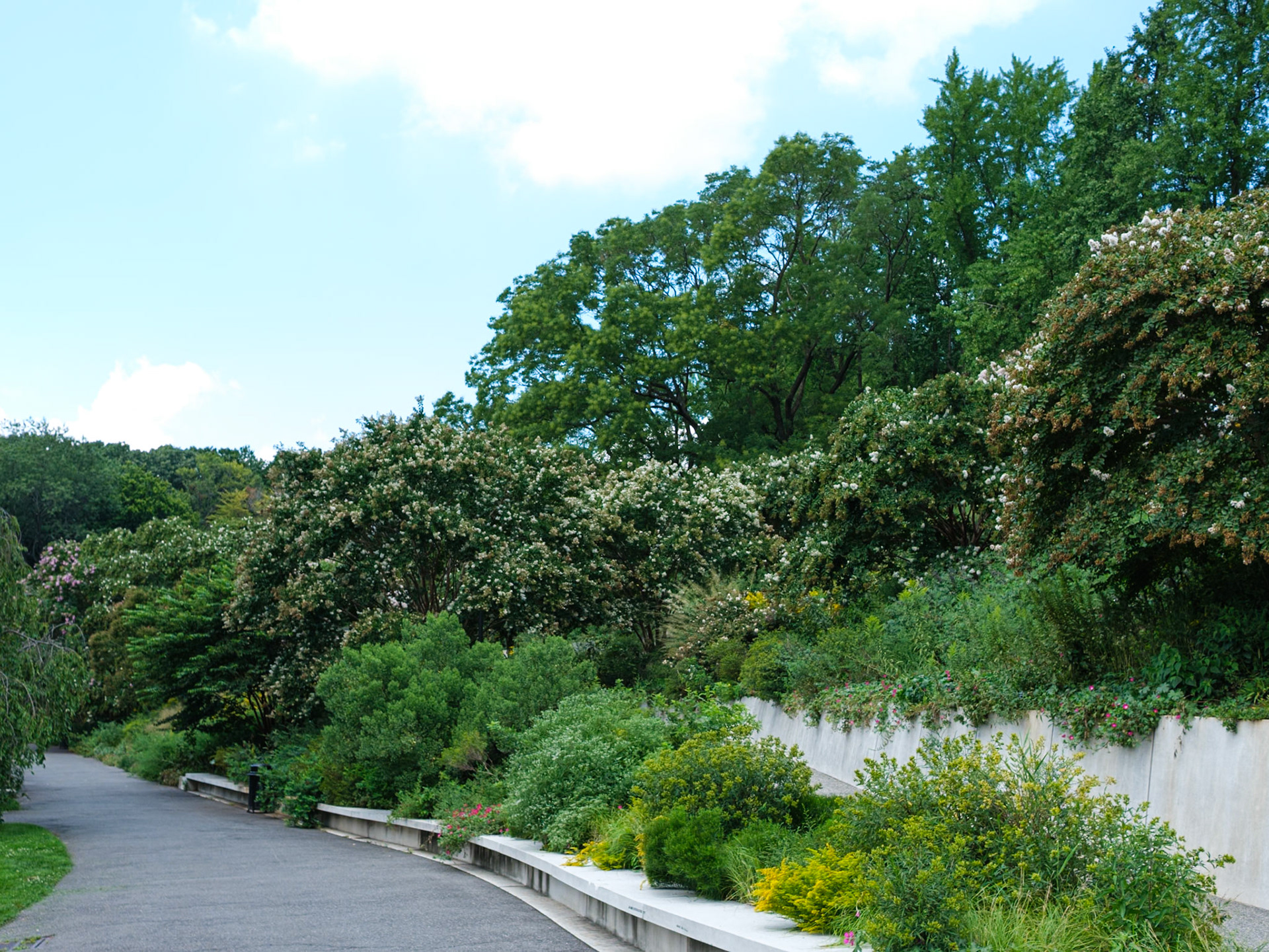 Hillside Walkways at Brooklyn Botanic