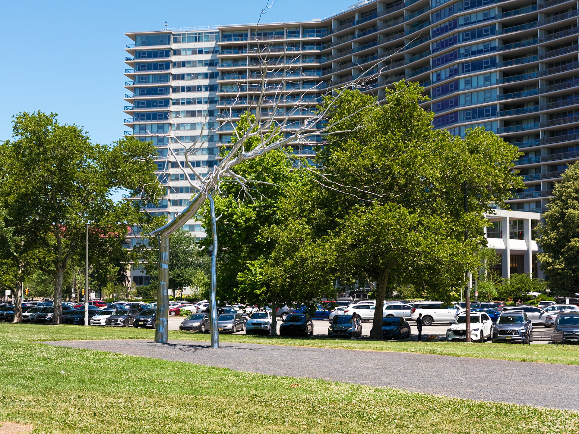 Silver Tree Near Pennsylvanian Apartments in June 2026